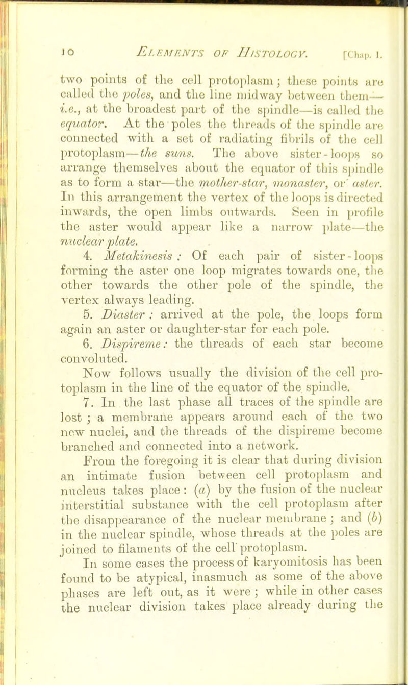 [( hap. I. two points of the cell protoplasm; these points are called the foles, and the line midway between them— i.e., at the broadest part of the s])indle—is called the equator. At the poles the threads of tlie spindle are connected with a set of radiating iibrils of the cell protoplasm—the suns. The above sister-loops so arrange themselves about the equator of this spindle as to form a star—the moth,er-star, monaster, or' aster. In this arrangement the vertex of the loops is directed inwards, the open limbs outwai-ds. Been in pi'ofile the aster would appear like a narrow plate-—the nuclear plate. 4. Metakinesis : Of each pair of sister - loops forming the aster one loop migrates towards one, the other towards the other pole of the spindle, the vertex always leading. 5. Diaster : arrived at the pole, the loops form again an aster or daughter-star for each pole. 6. Dispireme: the threads of each star become convoluted. Now follows usually the division of the cell pro- toplasm in the line of the equator of the spindle. 7. In the last phase all traces of the spindle are lost ; a membrane appears around each of the two new nuclei, and the threads of the dispireme become branched and connected into a netwoi'k. From the foregoing it is clear that during division an intimate fusion between cell protoplasm and nucleus takes place : (a) by the fusion of the nuclear interstitial substance with the cell protoplasm after the disappearance of the nuclear membrane ; and (b) in the nuclear spindle, whose threads at the poles are joined to filaments of the cell protoplasm. In some cases the process of karyomitosis has been found to be atypical, inasmuch as some of the above phases are left out, as it were ; while in other cases the nuclear division takes place already during the