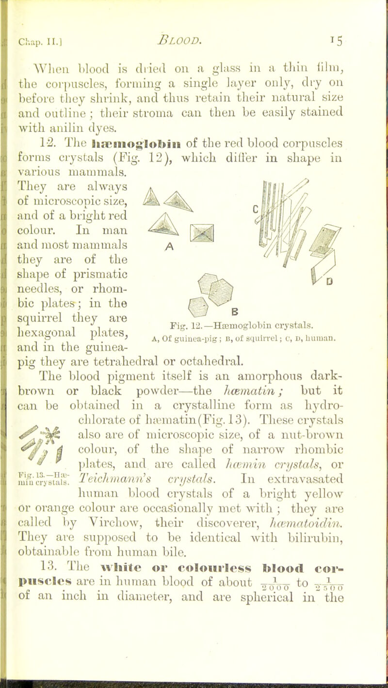 When blood is diied on a gla.ss in a thin iilnij the coipuscles, forming a single layer only, dry on before they shrink, and thus retain their natural size and outline ; their stroma can then be easily stained with anilin dyes. 1-2. The lisemog'lo1>jii of the red blood corpuscles forms crystals (Fig. 12), which dili'er in shape in various mammals. They are always of microsconic size, and of a bright red colour. In man and luost mammals they are of the shape of prismatic needles, or rhom- bic plates; in the squirrel they are plates, hexagonal Fig. 12. —HsBmoglobiiL crystals. A, Of guiuea-pig ; D, of squirrel; c, D, human. and in the guinea- pig they are tetrahedi'al or octahedral. The blood pigment itself is an amorphous dark- brown or black powder—the hcematin; but it can be obtained in a crystalline form as hydro- chloi'ate of ha^matin(Fig. 1 -3). These crystals also are of microscopic size, of a nut-brown colour, of the shape of narrow i^hombic plates, and are called liceniin crystals, or Teichmann's crystals. In extravasated human blood crystals of a bright yellow or orange colour are occasionally met with ; they are called by Virchow, their discoverer, hcernatoiclin. They are supposed to be identical with bilirubin, obtainable from human bile. 13. The white or coloiiiless blood coi*- piisclc<« are in human blood of about -j^^^q- to o-^Y)~o of an inch in diameter, and are spherical in the Fig.l3.-H;D- miu crystals.