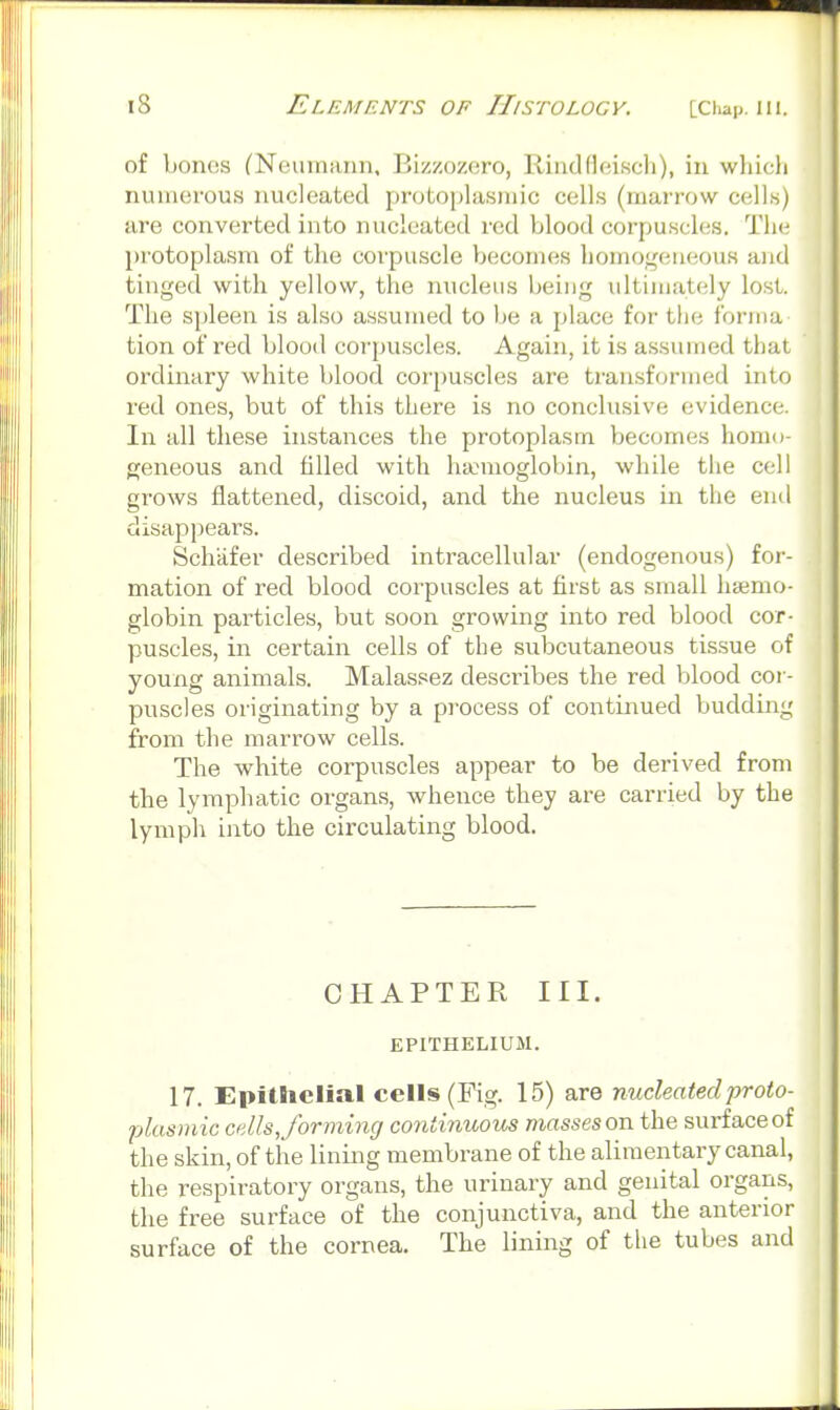 of bonos (Neumann, Bizzozcro, Rindfleiscli), in wliicli numei-ous nucleated protoplasmic cells (marrow cells) are converted into nucleated red blood corpuscles. TIk^ protoplasm of the corpuscle Vjecomes homogeneous and tinged with yellow, the nucleus being ultimately lost. The spleen is also assumed to be a place for the forma tion of red blood corpuscles. Again, it is assumed that ordinary white blood corpuscles are transformed into red ones, but of this there is no conclusive evidence. In all these iiLstances the protoplasm, becomes homo- geneous and filled with hannoglobin, while the cell grows flattened, discoid, and the nucleus in the end disappears. Sch'afer described intracellular (endogenous) for- mation of red blood corpuscles at first as small haemo- globin particles, but soon growing into red blood cor- puscles, in certain cells of the subcutaneous tissue of young animals. Malassez desci'ibes the red blood cor- puscles originating by a process of continued budding from the marrow cells. The white corpuscles appear to be derived from the lymphatic organs, whence they are carried by the lymph into the circulating blood. CHAPTER III. EPITHELIUM. 17. Epithelial cells (Fig. 15) are nucleatedproio- plasmic cdls, forming continuous masses on the surface of the skin, of the lining membrane of the alimentary canal, the respiratory organs, the urinary and genital organs, the free surface of the conjunctiva, and the anterior surface of the cornea. The lining of the tubes and