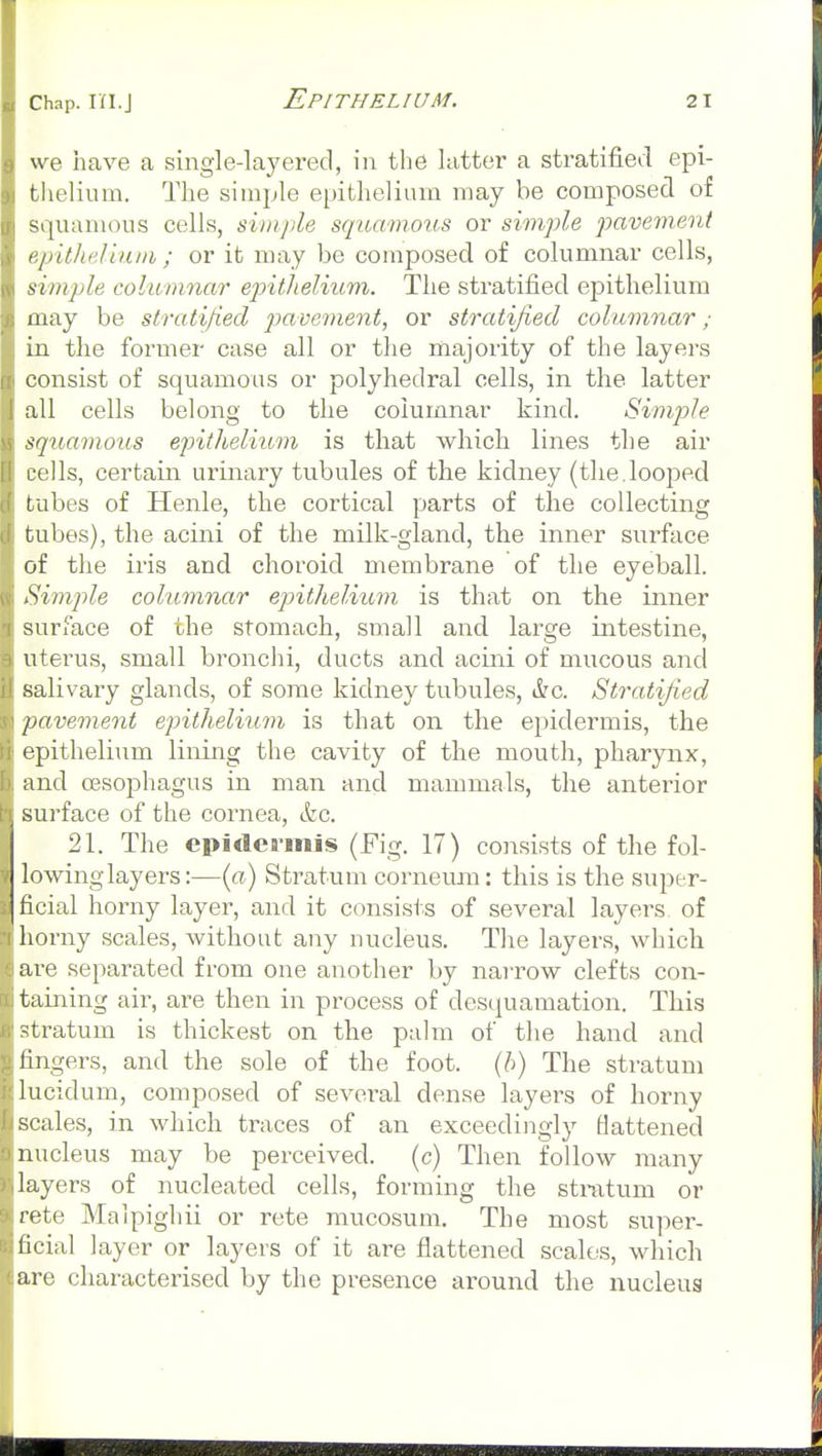 we have a single-layered, in the latter a stratified epi- thelium. The simple epithelium may be composed of squamous cells, simple squamous or simple pavement epitheliiini; or it may be composed of columnar cells, simple columnar epithelium. The stratified epithelium may be stratified pavement, or stratified columnar; in the former case all or the majority of the layers consist of squamous or polyhedral cells, in the latter all cells belong to the columnar kind. Simple squamous epithelium is that which lines the air cells, certain urinary tubules of the kidney (the.looped tubes of Henle, the cortical parts of the collecting tubes), the acini of the milk-gland, the inner surface of the iris and choroid membrane of the eyeball. Simjile columnar epithelium is that on the inner surface of the stomach, small and large intestine, uterus, small bronchi, ducts and acini of mucous and salivary glands, of some kidney tubules, &g. Stratified pavement epithelitim is that on the epidermis, the epithelium lining the cavity of the mouth, pharynx, and oesophagus in man and mammals, the anterior surface of the cornea, ifec. 21. The epidermis (Fig. 17) consists of the fol- lowing layers:—(«) Stratum corneum: this is the super- ficial horny layer, and it consists of several layers of horny scales, without any nucleus. The layers, which are separated from one another by naiTow clefts con- taining air, are then in process of desquamation. This stratum is thickest on the p:dm of the hand and fingers, and the sole of the foot, {h) The stratum lucidum, composed of several dense layers of horny scales, in which traces of an exceedingly Battened nucleus may be perceived, (c) Then follow many layers of nucleated cells, forming the stratum or rate Malpighii or rete mucosum. The most super- ficial layer or layers of it are flattened scales, which are characterised by the presence around the nucleus