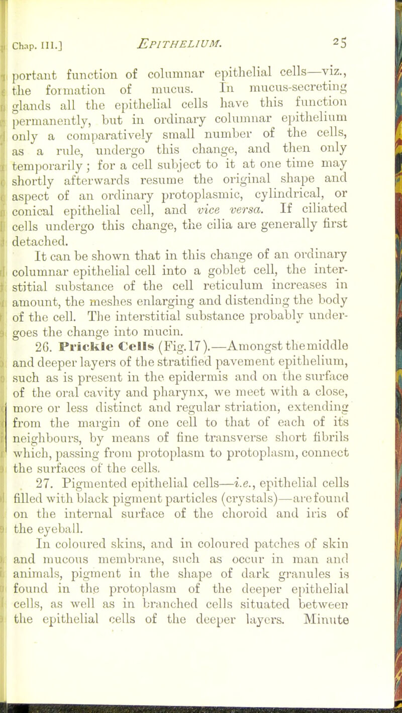 portant function of columnar epithelial cells—viz., tlie formation of mucus. In mucus-secreting glands all the epithelial cells have this function permanently, but in ordinary columnar epithelium only a comparatively small number of the cells, as a rule, undergo this change, and then only temporarily ; for a cell subject to it at one time may shortly afterwards resume the original shape and aspect of an ordinary protoplasmic, cylindrical, or conical epithelial cell, and vice versa. If ciliated cells undergo this change, the cilia are generally first detached. It can be shown that in this change of an ordinary columnar epithelial cell into a goblet cell, the inter- stitial substance of the cell reticulum increases in amount, the meshes enlarging and distending the body of the cell. The interstitial substance probably under- goes the change into mucin. 26. Pi-icltle Cells (Fig. 17).—Amongst themiddle and deeper layers of the stratified pavement epithelium, such as is present in the epidermis and on the surfiice of the oral cavity and pharynx, we meet with a close, more or less distinct and regular striation, extending from the mare;in of one cell to that of each of its neighbours, by means of fine transverse short fibrils which, passing from protoplasm to protoplasm, connect the surfaces of the cells, 27. Pigmented epithelial cells—i.e., epithelial cells filled with black pigment particles (crystals)—arc found on the internal surface of the choroid and iris of the eyeball. In coloured skins, and in coloured patches of skin and mucous membrane, such as occur in man and animals, pigment in tlie shape of dark granules is found in the protoplasm of the deeper epithelial cells, as well as in branched cells situated between the epithelial cells of the deeper layers. Minute