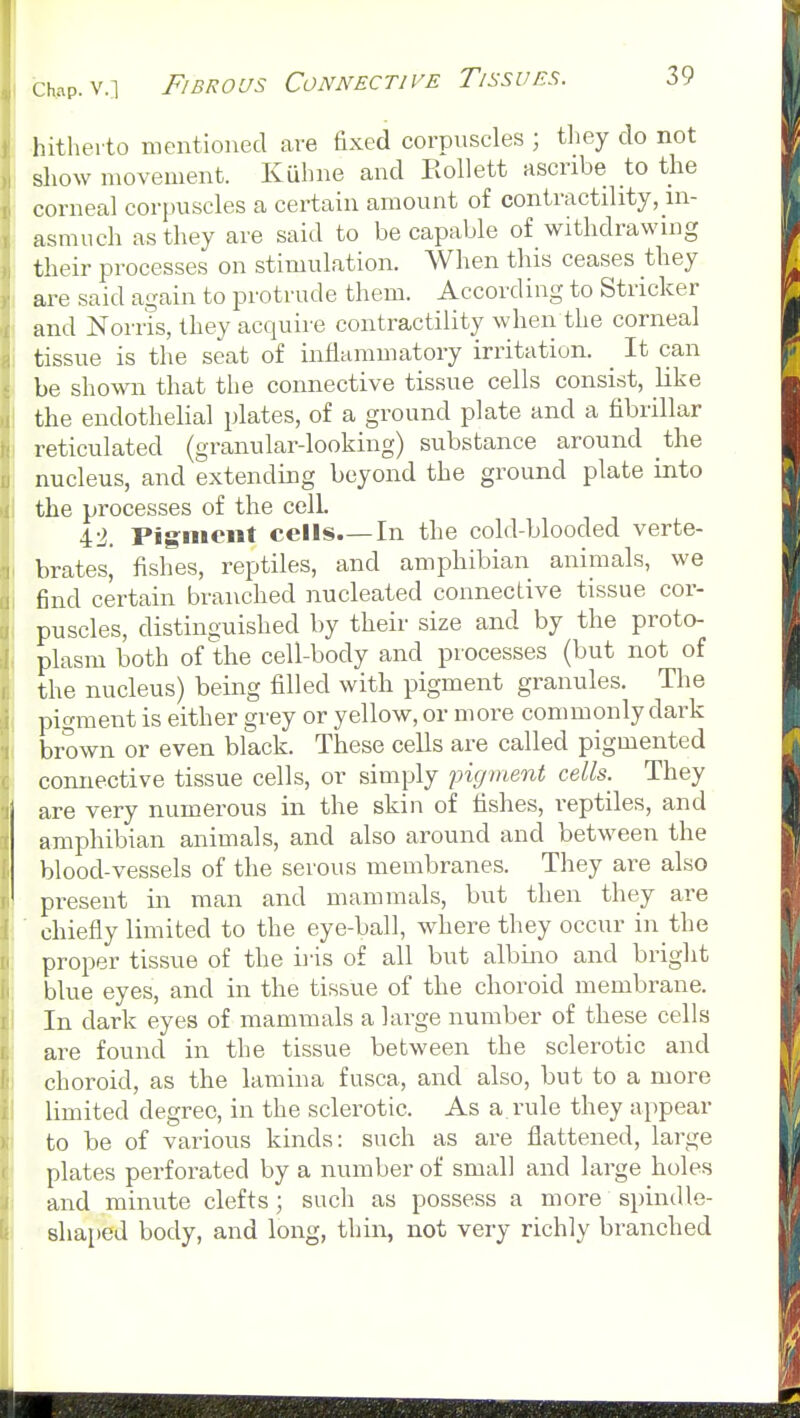 ■hitherto mentioned are fixed corpuscles ; tliey do not sliow movement. Kuhne and EoUett ascribe to the corneal corpuscles a certain amount of contractility, in- asmuch as they are said to be capable of withdrawing their processes on stimulation. When this ceases they are said again to protrude them. According to Strieker and jSTorris, they acquire contractility when the corneal tissue is the seat of inflammatory irritation. ^ It can be shown that the connective tissue cells consist, like the endothelial plates, of a ground plate and a fibrillar reticulated (granular-looking) substance around the nucleus, and extending beyond the ground plate into the processes of the cell 42. Pigment cells.—In the cold-blooded verte- brates, fishes, reptiles, and amphibian animals, we find certain branched nucleated connective tissue cor- puscles, distinguished by their size and by the proto- plasm both of the cell-body and processes (but not of the nucleus) being filled with pigment granules. The pigment is either grey or yellow, or more commonly dark brown or even black. These cells are called pigmented coMiective tissue cells, or simply pigment cells. They are very numerous in the skin of fishes, i-eptiles, and amphibian animals, and also around and between the blood-vessels of the serous membranes. They ai'e also present in man and mammals, but then they are chiefly limited to the eye-ball, where they occur in the proper tissue of the iris of all but albino and bright blue eyes, and in the tissue of the choroid membrane. In dark eyes of mammals a large number of these cells are found in the tissue between the sclerotic and choroid, as the lamina fusca, and also, but to a more limited degree, in the sclerotic. As a. rule they appear to be of various kinds: such as are flattened, large plates perforated by a number of small and large holes and minute clefts; such as possess a more spindle- shaped body, and long, thin, not very richly branched