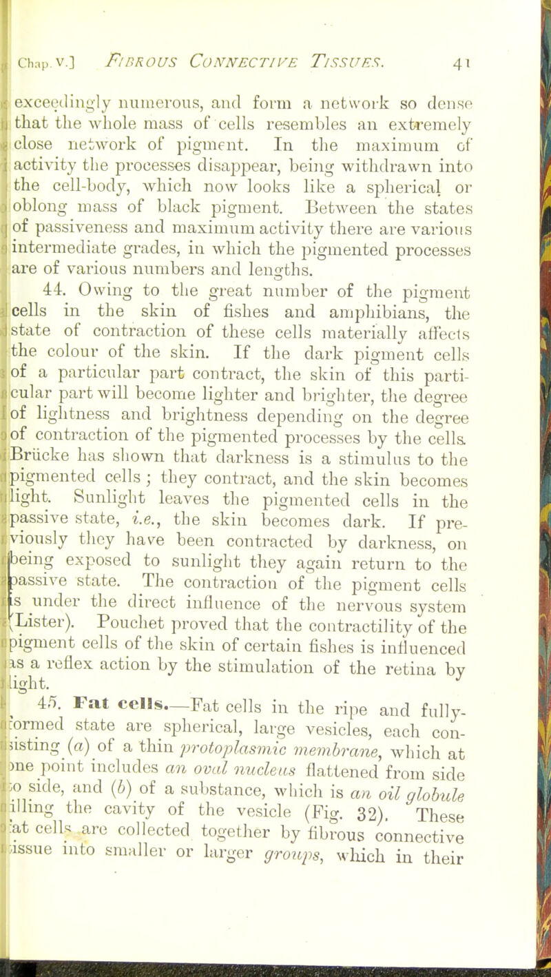 exceedingly niiinerous, aiul form a network so dense 1 that the whole mass of cells resembles an extremely I close network of pigment. In the maximum of activity the processes disappear, being withdrawn into the cell-body, which now looks like a spherical or oblong mass of black pigment. Between the states of passiveness and maximum activity there are various intermediate grades, iu which the pigmented processes are of various numbers and lenafths. 44. Owing to the great number of the pigment cells in the skin of fishes and amphibians, the .state of contraction of these cells materially alfects the colour of the skin. If the dark pigment cells of a particular part contract, the skin of this parti- cular part will become lighter and brighter, the degree of lightness and brightness depending on the degree of contraction of the pigmented processes by the cells. Briicke has shown that darkness is a stimulus to the pigmented cells; they contract, and the skin becomes light. Sunlight leaves the pigmented cells in the passive state, i.e., the skin becomes dark. If pre- \-iously they have been contracted by darkness, on being exposed to sunlight they again return to the massive state. The contraction of the pigment cells IS under the direct influence of the nervous system , Lister). Pouchet proved that the contractility of the pigment cells of the skin of certain fishes is influenced \s a reflex action by the stimulation of the retina by aght. ^ 45. Fat cells—Fat cells in the ripe and fully- ormed state are spherical, large vesicles, each con- iistmg (a) of a thin protoplasmic membrane, which at )ne point includes an oval nucleus flattened from side () side, and {b) of a substance, which is an oil ghbtde lilmg the cavity of the vesicle (Fig. 32) These •at cell« are collected together by fibrous connective issue into smaller or larger groups, which in their