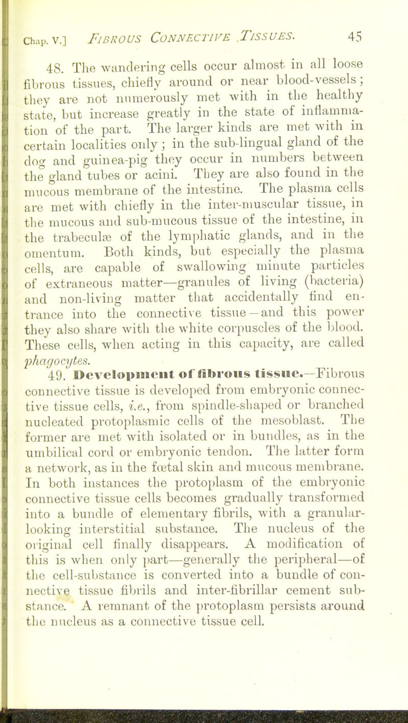 48. The wandering cells occur almost, in all loose fibrous tissues, chiefly around or near blood-vessels; they are not numerously met with in the healthy state, but increase greatly in the state of inflamma- tion of the part. The larger kinds are met with in certain localities only; in the sub-lingual gland of the dog and guinea-pig they occur in numbers between the gland tubes or acini. They are also found in the mucous membrane of the intestine. The plasma cells are met with chiefly in the inter-muscular tissue, in the mucous and sub-mucous tissue of the intestine, in the trabeculfe of the lymphatic glands, and in the omentum. Both kinds, but especially the plasma cells, are capable of swallowing minute particles of extraneous matter—granules of living (bacteria) and non-living matter that accidentally find en- trance into the connective tissue—and this power they also share with the white corpuscles of the blood. These cells, when acting in this capacity, are called 2}/iac/ocytes. 49. Development of fibrous tissue.—Fibrous connective tissue is developed from embryonic connec- tive tissue cells, i.e., from spindle-shaped or branched nucleated protoplasmic cells of the mesoblast. The former are met with isolated or in bundles, as in the umbilical cord or embryonic tendon. The latter form a network, as in the fostal skin and mucous membrane. In both instances the protoplasm of the embryonic connective tissue cells becomes gradually transformed into a bundle of elementary fibrils, with a granular- looking interstitial substance. The nucleus of the original cell finally disappears. A modification of this is when only part—generally the peripheral—of the cell-substance is converted into a bundle of con- nective tissue fibrils and inter-fibrillar cement sub- stance. A remnant of the protoplasm persists around the nucleus as a connective tissue cell.