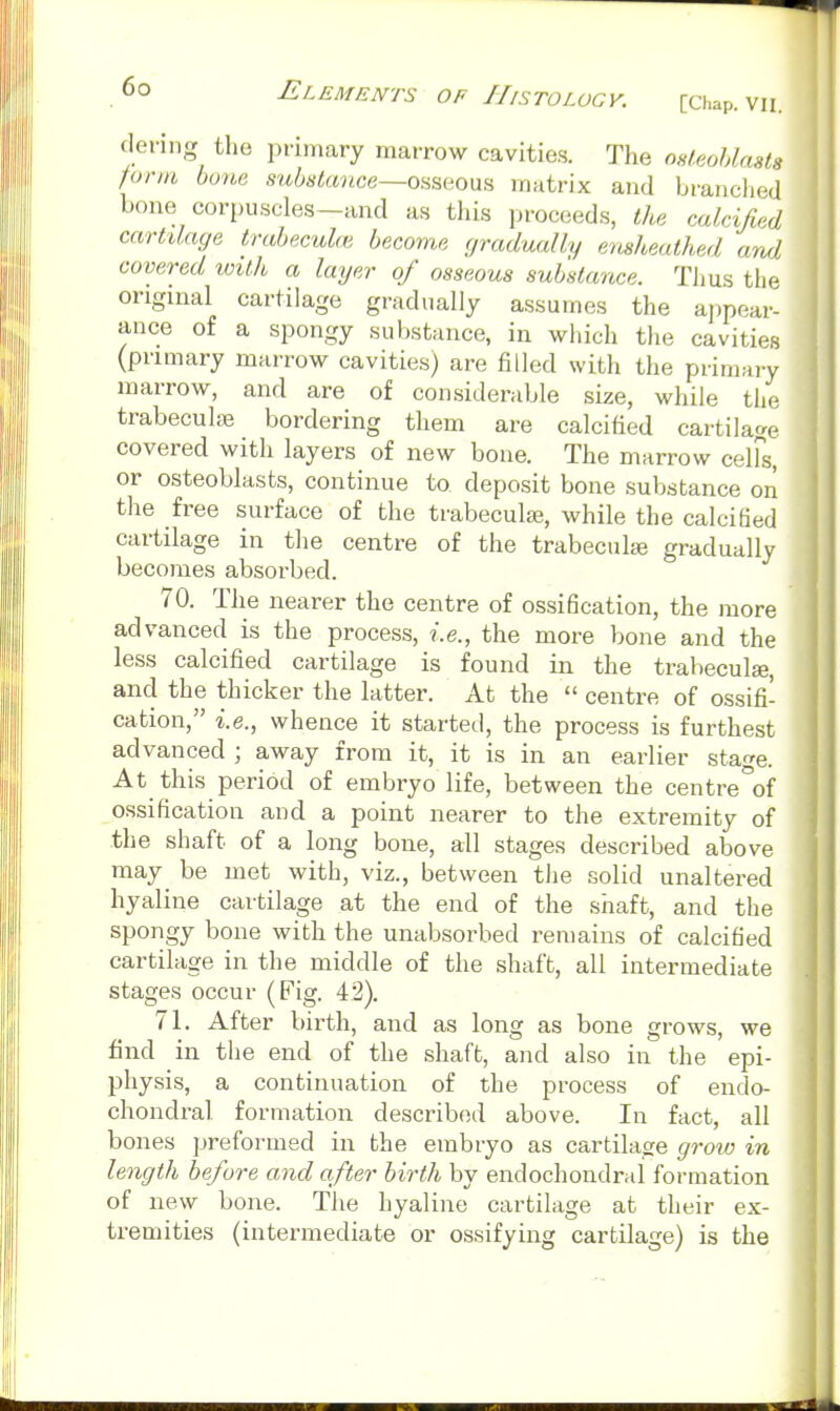 (lenng the primary marrow cavities. The OHleohlnats funa bone substance—osseoafi matrix and branclied bone corpuscles-and as this proceeds, the calcified cartilage trabeculo} become gradually emheulhed arul covered with a layer of osseous substance. Thus the original cartilage gradually assumes the appear- ance of a spongy substance, in which tlie cavities (primary marrow cavities) are filled with the primary marrow, and are of considerable size, while the trabeculje bordering them are calcified cartilage covered with layers of new bone. The marrow celFs, or osteoblasts, continue to deposit bone substance on the free surface of the trabeculaj, while the calcified cartilage in the centre of the trabeculje gradually becomes absorbed. 70. The nearer the centre of ossification, the more advanced is the process, i.e., the more bone and the less calcified cartilage is found in the trabeculse, and the thicker the latter. At the  centre of ossifi- cation, i.e., whence it startetl, the process is furthest advanced ; away from it, it is in an earlier stage. At this period of embryo life, between the centre°of ossification and a point nearer to the extremity of the shaft of a long bone, all stages described above may be met with, viz., between tlie solid unaltered hyaline cartilage at the end of the shaft, and the spongy bone with the unabsorbed remains of calcified cartilage in the middle of the shaft, all intermediate stages occur (Fig. 42). 71. After birth, and as long as bone grows, we find in the end of the shaft, and also in the epi- physis, a continuation of the process of endo- chondral formation described above. In fact, all bones preformed in the embryo as cartilage groto in length be/ore a,nd after birth by endochondral formation of new bone. The hyaline cartilage at their ex- tremities (intermediate or ossifying cartilage) is the
