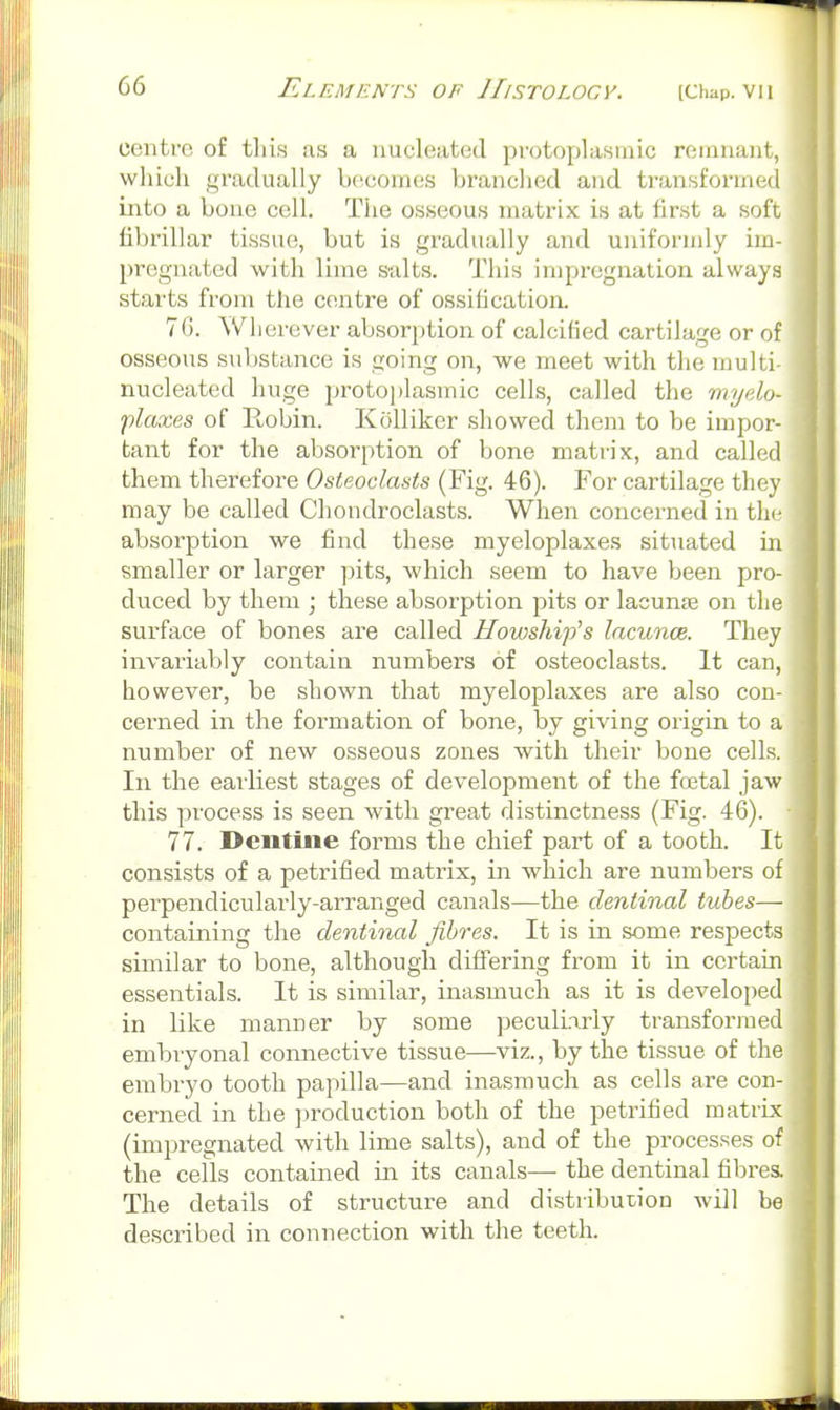 centre of this as a nucleated protoplasmic remnant, which j,'radually becomes branched and transformed into a bono cell. The osseous matrix is at first a soft fibrillar tissue, but is gradually and uniformly im- pregnated with lime salts. This impregnation always starts from the centre of ossiOcation. 70. Wherever absorption of calcified cartilage or of osseous substance is going on, we meet with tlie multi- nucleated huge protoplasmic cells, called the rnyelo- plaxes of Robin. KijUiker showed tliem to be impor- tant for the absorption of bone matrix, and called them therefore Osteoclasts (Fig. 46). For cartilage they may be called Chondroclasts. When concerned in th(; absorption we find these myeloplaxes situated in smaller or larger ynts, which seem to have been pro- duced by them ; these absorption pits or lacunse on the surface of bones are called Howship's lacunce. They invariably contain numbers of osteoclasts. It can, however, be shown that myeloplaxes are also con- cerned in the formation of bone, by giving origin to a number of new osseous zones with their bone cells. In the earliest stages of development of the foetal jaw this process is seen with great distinctness (Fig. 46). 77. Dentine forms the chief part of a tooth. It consists of a petrified matrix, in which are numbers of perpendicularly-arranged canals—the dentinal tubes— containing the dentinal fibres. It is in some respects similar to bone, although differing from it in certain essentials. It is similar, inasmuch as it is developed in like manner by some peculiarly transformed embiyonal connective tissue—viz., by the tissue of the embryo tooth papilla—and inasmuch as cells are con- cerned in the ])roduction both of the petrified matrix (impregnated with lime salts), and of the processes of the cells contained in its canals— the dentinal fibres. The details of structure and distribution will be described in connection with the teeth.