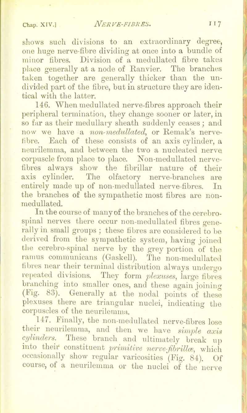 shows siicli clixisions to an extraordinary degree, one hu£fe nerve-fibre dividinc; at once into a bundle of minor fibres. Division of a medullated fibre takes place generally at a node of E-anvier. The branches taken together are generally thicker than the un- divided part of the fibre, but in structure they are iden- tical with the latter. 146. When medullated nerve-fibres approach their peripheral termination, they change sooner or later, in so far as their medullary sheath suddenly ceases ; and now we have a non-medullated, or Remak's nerve- fibre. Each of these consists of an axis cylinder, a neurilemma, and between the two a nucleated nerve corpuscle from place to place. Non-medullated nerve- fibi-es always show the fibrillar nature of their axis cylinder. The olfactory nerve-branches are entii-ely made up of non-medullated nerve fibres. In the branches of the sympathetic most fibres are non- medullated. In the course of many of the branches of the cerebro- spinal nerves there occur non-medullated fibres gene- rally in small groups ; these fibres are considered to be derived from the sympathetic system, having joined the cerebro-spinal nerve by the grey portion of the ramus communicans (Gaskell). The non-medullated fibi 'es near their terminal distribution always undergo repeated divisions. They form plexuses, large fibres branching into smaller ones, and these again joining (Fig. 83). Generally at the nodal points of these plexuses there are triangular nuclei, indicating the corpuscles of the neurilemma. 147. Finally, the non-medullated nerve-fibres lose then- neurilemma, and then we have simple axis cylinders. These branch and ultimately break up into their constituent primitive nerve-Jibrillm, which occasionally show regular varicosities (Fig. 84). Of course, of a neurilemma or the nuclei of the nerve