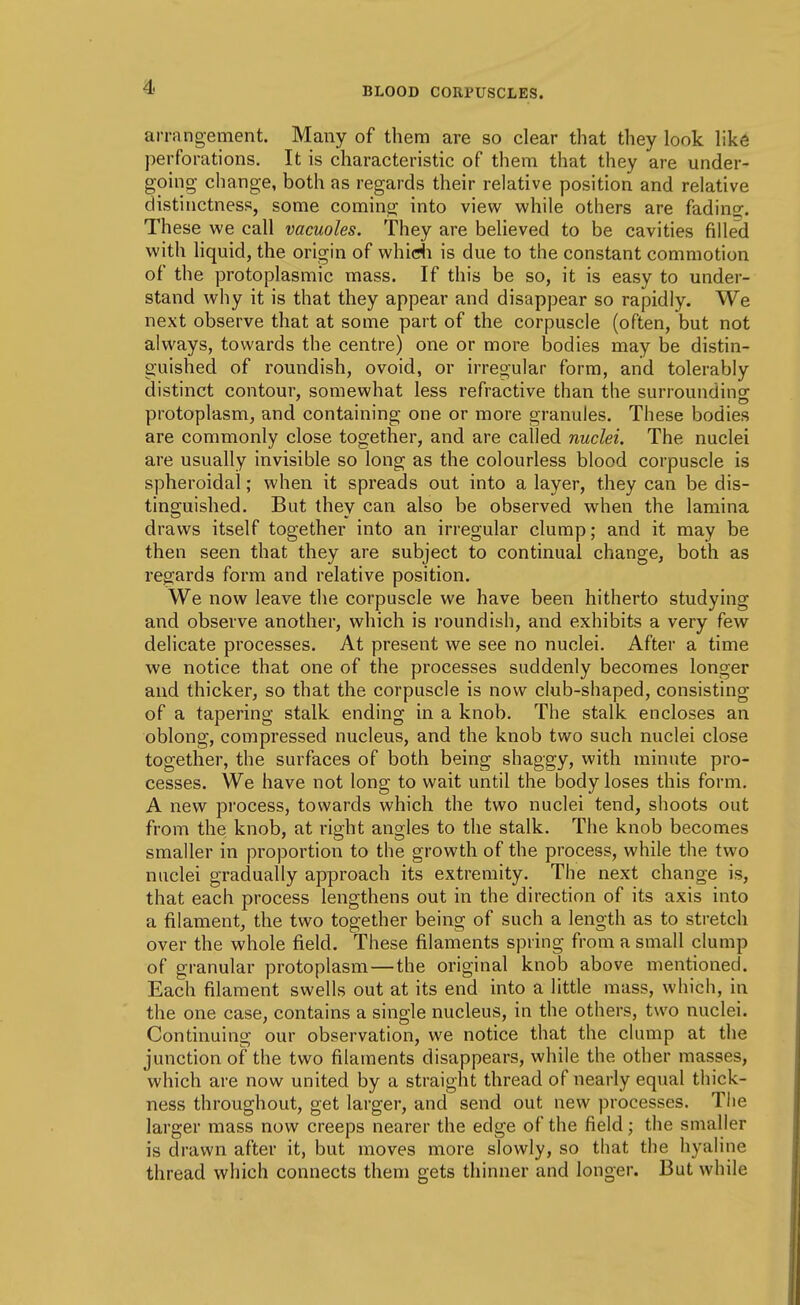 arrangement. Many of them are so clear that they look like perforations. It is characteristic of them that they are under- going change, both as regards their relative position and relative distinctness, some coming into viev^^ while others are fading;. These we call vacuoles. They are believed to be cavities filled with liquid, the origin of whidi is due to the constant commotion of the protoplasmic mass. If this be so, it is easy to under- stand why it is that they appear and disappear so rapidly. We next observe that at some part of the corpuscle (often, but not always, towards the centre) one or more bodies may be distin- guished of roundish, ovoid, or irregular form, and tolerably distinct contour, somewhat less refractive than the surroundino- protoplasm, and containing one or more granules. These bodies are commonly close together, and are called nuclei. The nuclei are usually invisible so long as the colourless blood corpuscle is spheroidal; when it spreads out into a layer, they can be dis- tinguished. But they can also be observed when the lamina draws itself together into an irregular clump; and it may be then seen that they are subject to continual change, both as regards form and relative position. We now leave the corpuscle we have been hitherto studying and observe another, which is roundish, and exhibits a very few delicate processes. At present we see no nuclei. After a time we notice that one of the processes suddenly becomes longer and thicker, so that the corpuscle is now club-shaped, consisting of a tapering stalk ending in a knob. The stalk encloses an oblong, compressed nucleus, and the knob two such nuclei close together, the surfaces of both being shaggy, with minute pro- cesses. We have not long to wait until the body loses this form. A new process, towards which the two nuclei tend, shoots out from the knob, at right angles to the stalk. The knob becomes smaller in proportion to the growth of the process, while the two nuclei gradually approach its extremity. The next change is, that each process lengthens out in the direction of its axis into a filament, the two together being of such a length as to stretch over the whole field. These filaments spring from a small clump of granular protoplasm — the original knob above mentioned. Each filament swells out at its end into a little mass, which, in the one case, contains a single nucleus, in the others, two nuclei. Continuing our observation, we notice that the clump at the junction of the two filaments disappears, while the other masses, which are now united by a straight thread of nearly equal thick- ness throughout, get larger, and send out new processes. Tlie larger mass now creeps nearer the edge of the field; the smaller is drawn after it, but moves more slowly, so that the hyaline thread which connects them gets thinner and longer. But while