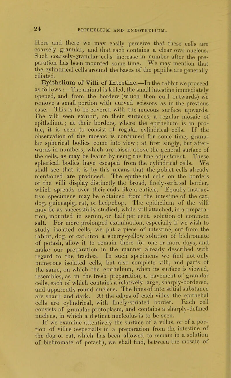 Here and there we may easily perceive that these cells are coarsely granular, and that each contains a clear oval nucleus. Such coarsely-granular cells increase in number after the pre- paration has been mounted some time. We may mention that the cylindrical cells around the bases of the papillae are generally ciliated. Epithelium of Villi of Intestine.—In the rabbit we proceed as follows :—The animal is killed, the small intestine immediately opened, and from the borders (which then curl outwards) we remove a small portion with curved scissors as in the previous case. This is to be covered with the mucous surface upwards. The villi seen exhibit, on their surfaces, a regular mosaic of epithehum; at their borders, where the epithelium is in pro- file, it is seen to consist of regular cyhndrical cells. If the observation of the mosaic is continued for some time, granu- lar spherical bodies come into view; at first singly, but after- wards in numbers, which are raised above the oeneial surface of the cells, as may be learnt by using the fine adjustment. These spherical bodies have escaped from the cylindrical cells. We shall see that it is by this means that the goblet cells already mentioned are produced. The epithelial cells on the borders of the villi display distinctly the broad, finely-striated border, which spreads over their ends like a cuticle. Equally instruc- tive specimens may be obtained from the intestine of the cat, dog, guineapig, rat, or hedgehog. The epithelium of the villi may be as successfully studied, while still attached, in a prepara- tion, mounted in serum, or half per cent, solution of common salt. For more prolonged examination, especially if we wish to study isolated cells, we put a piece of intestine, cut from the rabbit, dog, or cat, into a sherry-yellow solution of bichromate of potash, allow it to remain there for one or more days, and make our preparation in the manner already described with regard to the trachea. In such specimens we find not only numerous isolated cells, but also complete villi, and parts of the same, on which the epithelium, when its surface is viewed, resembles, as in the fresh preparation, a pavement of granular cells, each of which contains a relatively large, sharply-bordered, and apparently round nucleus. The lines of interstitial substance are sharp and' dark. At the edges of each villus the epithelial cells are cyhndrical, with finely-striated border. Each cell consists of granular protoplasm, and contains a sharply-defined nucleus, in which a distinct nucleolus is to be seen. If we examine attentively the surface of a villus, or of a por- tion of villus (especially in a preparation from the intestine of the dog or cat, which has been allowed to remain in a solution of bichromate of potash), we shall find, between the mosaic of
