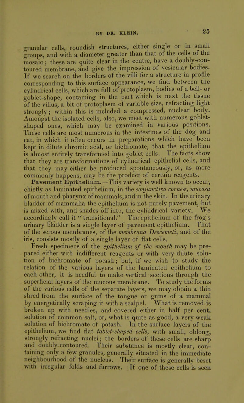 granular cells, roundish structures, either single or in small groups, and with a diameter greater than that of the cells of the mosaic ; these are quite clear in the centre, have a doubly-con- toured membrane, and give the impression of vesicular bodies. If we search on the borders of the villi for a structure in profile corresponding to this surface appearance, we find between the cylindrical ceils, which are full of protoplasm, bodies of a bell- or goblet-shape, containing in the part which is next the tissue of the villus, a bit of protoplasm of variable size, refracting light strongly; within this is included a compressed, nuclear body. Amongst the isolated cells, also, we meet with numerous goblet- shaped ones, which may be examined in various positions. These cells are most numerous in the intestines of the dog and cat, in which it often occurs in preparations which have been kept in dilute chromic acid, or bichromate, that the epithelium is almost entirely transformed into goblet cells. The facts show that they are transformations of cyhndrical epithelial cells, and that they may either be produced spontaneously, or^ as more commonly happens, may be the product of certain reagents. Pavement Epithelium.—This variety is well known to occur, chiefly as laminated epithelium, in the conjunctiva cornece, mucosa of mouth and pharynx of mammals,andin the skin. In theurinary bladder of mammalia the epithelium is not purely pavement, but is mixed with, and shades off into, the cylindrical variety. We accordingly call it  transitional/' The epithelium of the frog's urinary bladder is a single layer of pavement epithelium. That of the serous membranes, of the memhrana Descemeti, and of the iris, consists mostly of a single layer of flat cells. Fresh specimens of the epithelium of the mouth may be pre- pared either with indifferent reagents or with very dilute solu- tion of bichromate of potash; but, if we wish to study the relation of the various layers of the laminated epithelium to each other, it is needful to make vertical sections through the superficial layers of the mucous membrane. To study the forms of the various cells of the separate layers, we may obtain a thin shred from the surface of the tongue or gums of a mammal by energetically scraping it with a scalpel. What is removed is broken up with needles, and covered either in half per cent, solution of common salt, or, what is quite as good, a very weak solution of bichromate of potash. In the surface layers of the ej)ithelium, we find flat tablet-shaped cells, with small, oblong, strongly refracting nuclei; the borders of these cells are sharp and doubly-contoured. Their substance is mostly clear, con- taining only a few granules, generally situated in the immediate neighbourhood of the nucleus. Their surface is generally beset with irregular folds and furrows. If one of these cells is seen