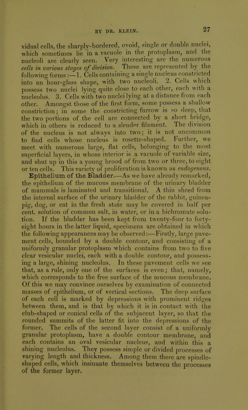 vidual cells, the sharplv-bordered, ovoid, single or double nuclei, wiiich sometimes lie in a vacuole in the protoplasm, and the nucleoli are clearly seen. Very interesting are the numerous cells in various stages of division. These are represented by the followino- forms :—1. Cells containing a single nucleus constricted into an liour-glass shape, with two nucleoli. 2. Cells which possess two nuclei lying quite close to each other, each with a nucleolus. 3. Cells with two nuclei lying at a distance from each other. Amongst those of the first form, some possess a shallow constriction; in some the constricting furrow is so deep, that the two portions of the cell are connected by a short bridge, which in others is reduced to a slender filament. The division of the nucleus is not always into two; it is not uncommon to find cells whose nucleus is rosette-shaped. Further, we meet with numerous large, flat cells, belonging to the most superficial layers, in whose interior is a vacuole of variable size, and shut up in this a young brood of from two or three, to eight or ten cells. This variety of proliferation is known as endogenous. Epithelium of the Bladder.—As we have already remarked^ the epithelium of the mucous membrane of the urinary bladder of mammals is laminated and transitional, A thin shred from the internal surface of the urinary bladder of the rabbit, guinea- pig, dog, or cat in the fresh state may be covered in half per cent, solution of common salt, in water, or in a bichromate solu- tion. If the bladder has been kept from twenty-four to forty- eight hours in the latter liquid, specimens are obtained in which the following appearances may be observed:—Firstly, large pave- ment cells, bounded by a double contour, and consisting of a uniformly granular protoplasm which contains from two to five clear vesicular nuclei, each with a double contour, and possess- ing a large, shining nucleolus. In these pavement cells we see that, as a rule, only one of the surfaces is even; that, namely, which corresponds to the free surface of the mucous membrane. Of this we may convince ourselves by examination of connected masses of epithelium, or of vertical sections. The deep surface of each cell is marked by depressions with prominent ridges between them, and is that by which it is in contact with the club-shaped or conical cells of the subjacent layer, so that the rounded summits of the latter fit into the depressions of the former. The cells of the second layer consist of a uniformly granular protoplasm, have a double contour membrane, and each contains an oval vesicular nucleus, and within this a shining nucleolus. They possess simple or divided processes of varying length and thickness. Among them there are spindle- shaped cells, which insinuate themselves between the processes of the former layer.