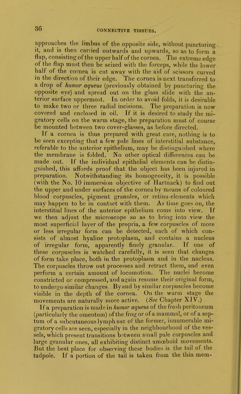CONNECTIVE TISSUES. approaches the hmbus of the opposite side, without puncturing it, and is then carried outwards and upwards, so as to form a flap, consistinpjof the upper half of the cornea. The extreme edge of the flap must then be seized with the forceps, while the lower half of the cornea is cut away with the aid of scissors curved in the direction of their edge. The cornea is next transferred to a drop of humor aqueus (previously obtained by puncturing the opposite eye) and spread out on the glass slide with the an- terior surface uppermost. In order to avoid folds, it is desirable to make two or three radial incisions. The preparation is now covered and enclosed in oil. If it is desired to study the mi- gratory cells on the warm stage, the preparation must of course be mounted between two cover-glasses, as before directed. If a cornea is thus prepared with great care, nothing is to be seen excepting that a few pale lines of interstitial substance, referable to the anterior epithelium, may be distinguished where the membrane is folded. No other optical differences can be made out. If the individual epithehal elements can be distin- guished, this affords proof that the object has been injured in preparation. Notwithstanding its homogeneity, it is possible (with the No. 10 immersion objective of Hartnack) to find out the upper and under surfaces of the cornea by means of coloured blood corpuscles, pigment granules, or retina-elements which may happen to be in contact with them. As time goes on, the interstitial lines of the anterior epithelium come into view. If we then adjust the microscope so as to bring into view the most superficial layer of the propria, a few corpuscles of more or less irregular form can be detected, each of which con- sists of almost hyaline protoplasm, and contains a nucleus of irregular form, apparently finely granular. If one of these corpuscles is watched carefully, it is seen that changes of form take place, both in the protoplasm and in the nucleus. The corpuscles throw out processes and retract them, and even perform a certain amount of locomotion. The nuclei become constricted or compressed, and acjain resume their original form, to undergo similar changes. By and by similar corpuscles become visible in the depth of the cornea. On the warm staoje the movements are naturally more active. (See Chapter XIV.) If a preparation is made in humor aqueus of the fresh peritoneum (particularly the omentum) of the frog or of a mammal, or of a sep- tum of a subcutaneous lymph sac of the former, innumerable mi- gratory cells are seen, especially in the neighbourhood of the ves- sels, which present transitions b?tween small pale corpuscles and large granular ones, all exhibiting distinct amoeboid movements. But the best place for observing these bodies is the tail of the tadpole. If a portion of the tail is taken from the thin mera-
