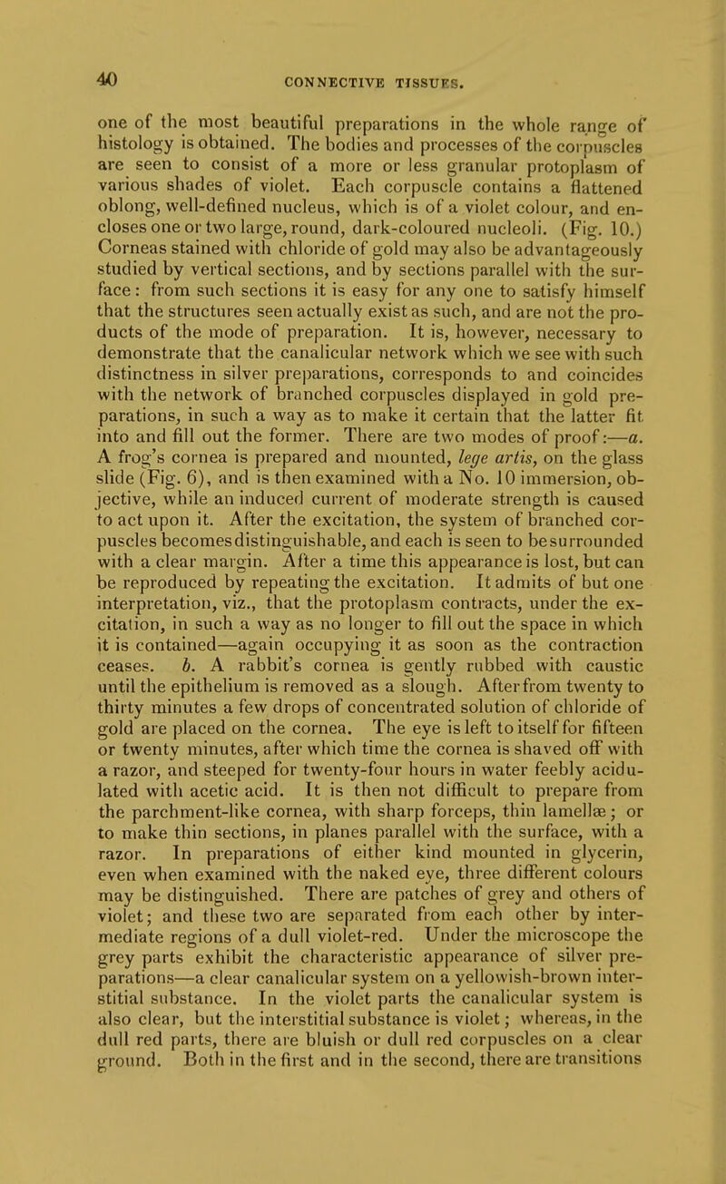 one of the most beautiful preparations in the whole range of histology is obtained. The bodies and processes of the corpuscles are seen to consist of a more or less granular protoplasm of various shades of violet. Each corpuscle contains a flattened oblong, well-defined nucleus, which is of a violet colour, and en- closes one or two large, round, dark-coloured nucleoli. (Fig. 10.) Corneas stained with chloride of gold may also be advantageously studied by vertical sections, and by sections parallel with the sur- face: from such sections it is easy for any one to satisfy himself that the structures seen actually exist as such, and are not the pro- ducts of the mode of preparation. It is, however, necessary to demonstrate that the canalicular network which we see with such distinctness in silver preparations, corresponds to and coincides with the network of branched corpuscles displayed in gold pre- parations, in such a way as to make it certain that the latter fit into and fill out the former. There are two modes of proof:—a. A frog's cornea is prepared and mounted, lege artis, on the glass slide (Fig. 6), and is then examined with a No. 10 immersion, ob- jective, while an induced current of moderate strength is caused to act upon it. After the excitation, the system of branched cor- puscles becomes distinguishable, and each is seen to be surrounded with a clear margin. After a time this appearance is lost, but can be reproduced by repeating the excitation, Itadn:iits of but one interpretation, viz., that the protoplasm contracts, under the ex- citation, in such a way as no longer to fill out the space in which it is contained—again occupying it as soon as the contraction ceases. b. A rabbit's cornea is gently rubbed with caustic until the epithelium is removed as a slough. Afterfrom twenty to thirty minutes a few drops of concentrated solution of chloride of gold are placed on the cornea. The eye is left to itself for fifteen or twenty minutes, after which time the cornea is shaved off with a razor, and steeped for twenty-four hours in water feebly acidu- lated with acetic acid. It is then not difficult to prepare from the parchment-like cornea, with sharp forceps, thin lamellae; or to make thin sections, in planes parallel with the surface, with a razor. In preparations of either kind mounted in glycerin, even when examined with the naked eye, three different colours may be distinguished. There are patches of grey and others of violet; and these two are separated from each other by inter- mediate regions of a dull violet-red. Under the microscope the grey parts exhibit the characteristic appearance of silver pre- parations—a clear canalicular system on a yellowish-brown inter- stitial substance. In the violet parts the canalicular system is also clear, but the interstitial substance is violet; whereas, in the dull red parts, there are bluish or dull red corpuscles on a clear ground. Both in the first and in the second, there are transitions