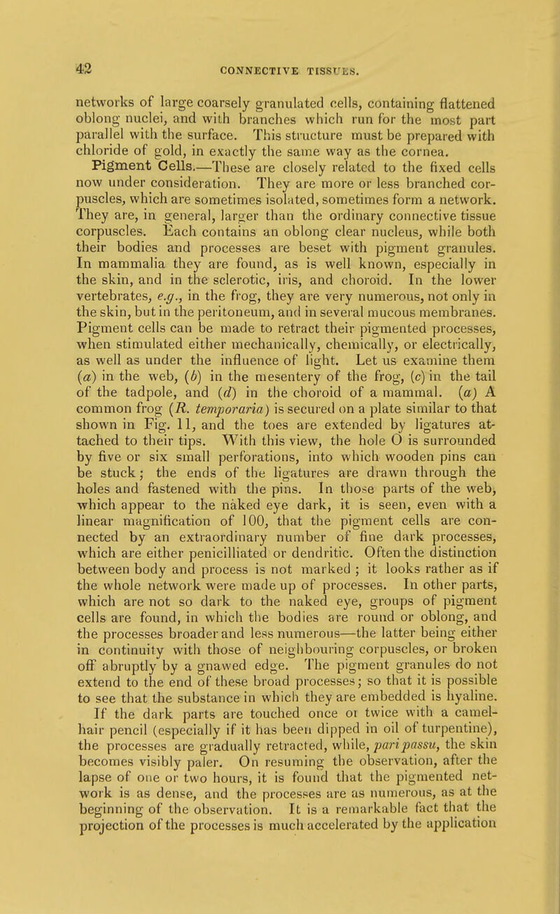 networks of large coarsely granulated cells, containing flattened oblong nuclei, and with branches which run for the most part parallel with the surface. This structure must be prepared with chloride of gold, in exactly the same way as the cornea. Pigment Cells.—These are closely related to the fixed cells now under consideration. They are more or less branched cor- puscles, which are sometimes isolated, sometimes form a network. They are, in general, larger than the ordinary connective tissue corpuscles. Each contains an oblong clear nucleus, while both their bodies and processes are beset with pigment granules. In mammalia they are found, as is well known, especially in the skin, and in the sclerotic, iris, and choroid. In the lower vertebrates, e.g., in the frog, they are very numerous, not only in the skin, but in the peritoneum, and in several mucous membranes. Pigment cells can be made to retract their pigmented processes, when stimulated either mechanically, chemically, or electrically, as well as under the influence of light. Let us examine them [a) in the web, {b) in the mesentery of the frog, (c) in the tail of the tadpole, and {d) in the choroid of a mammal, {a) A common frog [R. temporaria) is secured on a plate similar to that shown in Fig. 11, and the toes are extended by ligatures at- tached to their tips. With this view, the hole O is surrounded by five or six small perforations, into which wooden pins can be stuck; the ends of the ligatures are drawn through the holes and fastened with the pins. In those parts of the web, which appear to the naked eye dark, it is seen, even with a linear magnification of 100, that the pigment cells are con- nected by an extraordinary number of fine dark processes, which are either penicilliated or dendritic. Often the distinction between body and process is not marked ; it looks rather as if the whole network were made up of processes. In other parts, which are not so dark to the naked eye, groups of pigment cells are found, in which the bodies are round or oblong, and the processes broader and less numerous—the latter being either in continuity with those of neighbouring corpuscles, or broken off abruptly by a gnawed edge. The pigment granules do not extend to the end of these broad processes; so that it is possible to see that the substance in which they are embedded is hyaline. If the dark parts are touched once oi twice with a camel- hair pencil (especially if it has been dipped in oil of turpentine), the processes are gradually retracted, while, paripassu, the skin becomes visibly paler. On resuming the observation, after the lapse of one or two hours, it is found that the pigmented net- work is as dense, and the processes are as numerous, as at the beginning of the observation. It is a remarkable fact that the projection of the processes is much accelerated by the application
