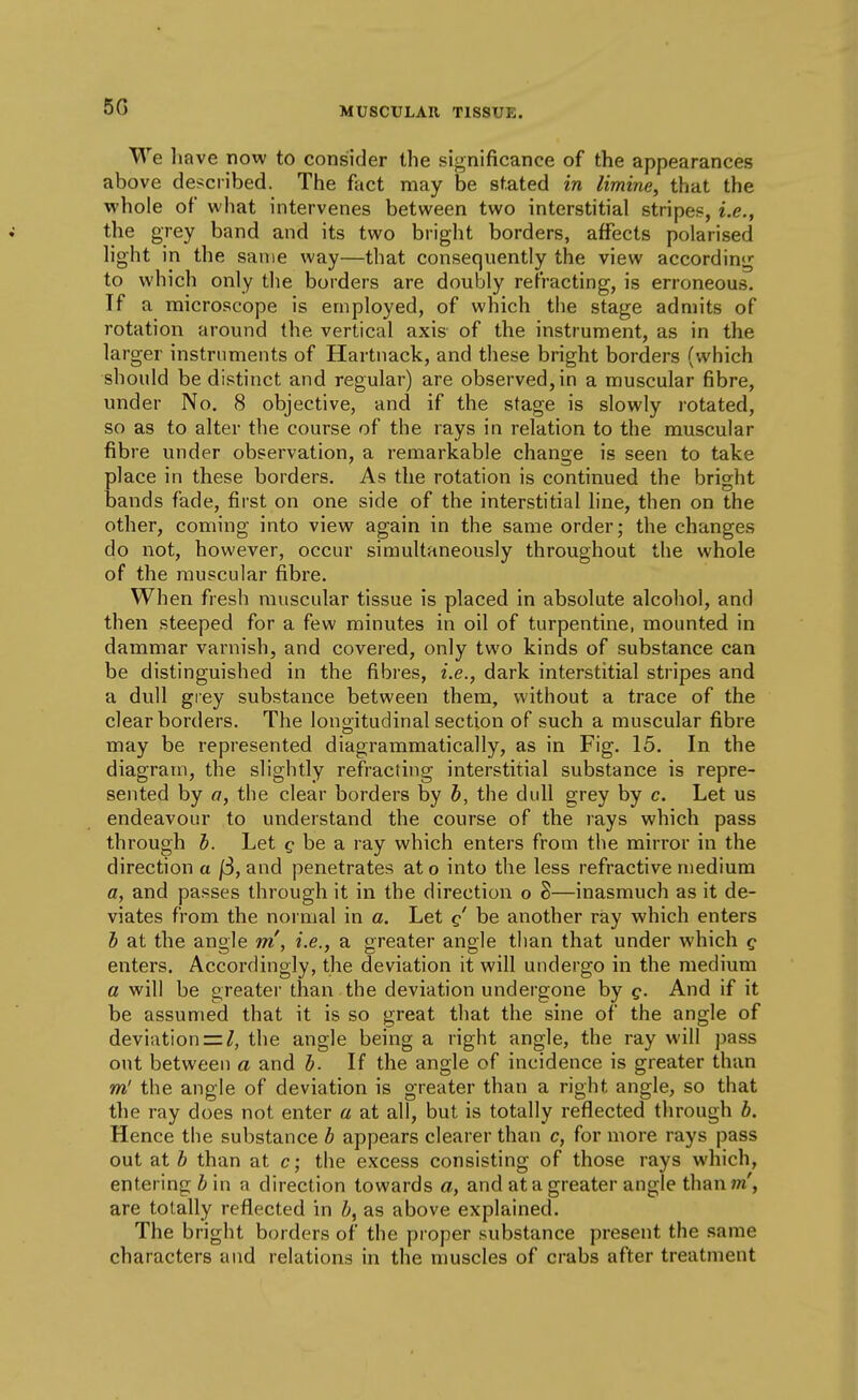 5G We liave now to consider the significance of the appearances above de;;cribed. The fact may be stated in limine, that the whole of what intervenes between two interstitial stripes, i.e., the grey band and its two bright borders, affects polarised hght in the same way—that consequently the view according to which only the borders are doubly refracting, is erroneous. If a microscope is employed, of which the stage admits of rotation around the vertical axis of the instrument, as in the larger instruments of Hartnack, and these bright borders (which should be distinct and regular) are observed, in a muscular fibre, under No. 8 objective, and if the stage is slowly rotated, so as to alter the course of the rays in relation to the muscular fibre under observation, a remarkable change is seen to take place in these borders. As the rotation is continued the bright bands fade, first on one side of the interstitial line, then on the other, coming into view again in the same order; the changes do not, however, occur simultaneously throughout the whole of the muscular fibre. When fresh muscular tissue is placed in absolute alcohol, and then steeped for a few minutes in oil of turpentine, mounted in dammar varnish, and covered, only two kinds of substance can be distinguished in the fibres, i.e., dark interstitial stripes and a dull giey substance between them, without a trace of the clear borders. The lonoitudinal section of such a muscular fibre may be represented diagrammatically, as in Fig. 15. In the diagram, the slightly refracting interstitial substance is repre- sented by o, the clear borders by b, the dull grey by c. Let us endeavour to understand the course of the rays which pass through h. Let be a ray which enters from the mirror in the direction a jS, and penetrates ato into the less refractive n)edium a, and passes through it in the direction o 8—inasmuch as it de- viates from the normal in a. Let g' be another ray which enters h at the angle m', i.e., a greater angle than that under which g enters. Accordingly, the deviation it will undergo in the medium a will be greater than the deviation undergone by g. And if it be assumed that it is so great that the sine of the angle of deviation n/, the angle being a right angle, the ray will pass out between a and b. If the angle of incidence is greater than m' the angle of deviation is greater than a right angle, so that the ray does not enter a at all, but is totally reflected through b. Hence the substance b appears clearer than c, for more rays pass out at b than at c; the excess consisting of those rays which, entering b in a direction towards a, and at a greater angle thnnm', are totally reflected in as above explained. The bright borders of the proper substance present the same characters and relations in the muscles of crabs after treatment