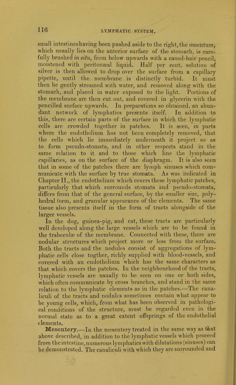 small intestineshaving been pushed aside to the right,the omentum^ which usually lies on the anterior surface of the stomach, is care- fully brushed in situ, from below upwards with a camel-hair pencil, moistened with peritonseal liquid. Half per cent, solution of silver is then allowed to drop over the surface from a capillary pipette, until the membrane is distinctly turbid. It must then be gently streamed with water, and removed along with the stomach, and placed in water exposed to the light. Portions of the membrane are then cut out, and covered in glycerin with the pencilled surface upwards. In preparations so obtained, an abun- dant network of lymphatics presents itself. In addition to this, there are certain parts of the surface in which the lymphatic cells are crowded together in patches. It is seen, in parts where the endothelium has not been completely removed, that the cells which lie immediately underneath it project so as to form pseudo-stomata, and in other respects stand in the same relation to it and to those which line the lymphatic capillaries, as on the surface of the diaphragm. It is also seen that in some of the patches there are lymph sinuses which com- municate with the surface by true stomata. As was indicated in Chapter II., the endothelium which covers these lymphatic patches, particularly that which surrounds stomata and pseudo-stomata, differs from that of the general surface, by the smaller size, poly- hedral form, and granular appearance of the elements. The same tissue also presents itself in the form of tracts alongside of the larger vessels. In the dog, guinea-pig, and cat, these tracts are particularly well developed along the large vessels which are to be found in the trabeculse of the membrane. Connected with these, there are nodular structures which project more or less from the surface. Both the tracts and the nodules consist of aggregations of lym- phatic cells close togther, richly supplied with blood-vessels, and covered with an endothelium which has the same chai'acters as that which covers the patches. In the neighbourhood of the tracts, lymphatic vessels are usually to be seen on one or both sides, which often communicate by cross branches, and stand in the same relation to the lymphatic elements as in the patches.—The cana- liculi of the tracts and nodulfs sometimes contain what appear to be young cells, which, from what has been observed in pathologi- cal conditions of the structure, must be regarded even in the normal state as to a great extent offsprings of the endothelial elements. Mesentery.—In the mesentery treated in the same way as that above described, in addition to the lymphatic vessels which proceed from the intestine,numerous lymphatics with dilatations (sinuses) can be demonstrated. The canalic'uli with which they are surrounded and