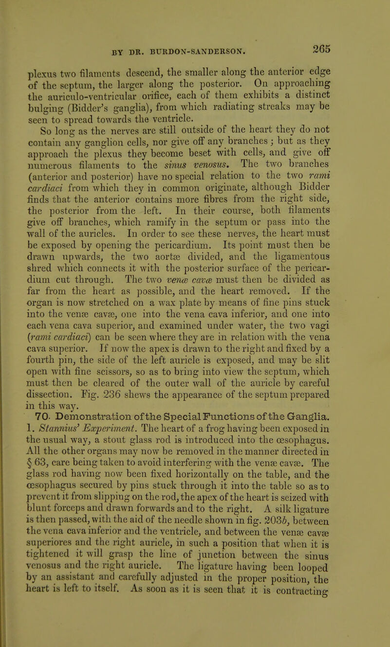 plexus two filaments descend, the smaller along the anterior edge of the septum, the larger along the posterior. On approaching the auriculo-ventricular orifice, each of them exhibits a distinct bulging (Bidder's ganglia), from which radiating streaks may be seen to spread towards the ventricle. So long as the nerves are still outside of the heart they do not contain any ganglion cells, nor give off any branches; but as they approach the plexus they become beset with cells, and give off numerous filaments to the sinus venusus. The two branches (anterior and posterior) have no special relation to the two rami cardiaci from which they in common originate, although Bidder finds that the anterior contains more fibres from the right side, the posterior from the left. In their course, both filaments give off branches, which ramify in the septum or pass into the wall of the auricles. In order to see these nerves, the heart must be exposed by opening the pericardium. Its point must then be drawn upwards, the two aortse divided, and the ligamisntous shred which connects it with the posterior surface of the pericar- dium cut through. The two venoi cavee must then be divided as far from the heart as possible, and the heart removed. If the organ is now stretched on a wax plate by means of fine pins stuck into the vense cavse, one into the vena cava inferior, and one into each vena cava superior, and examined under water, the two vagi [rami cardiaci) can be seen where they are in relation wdth the vena cava superior. If now the apex is drawn to the right and fixed by a fourth pin, the side of the left auricle is exposed, and may be slit open with fine scissors, so as to bring into view the septum, which must then be cleared of the outer wall of the auricle by careful dissection. Fig. 236 shews the appearance of the septum prepared in this w^ay. 70. Demonstration of the Special Functions of the Ganglia. 1. Stanniiis' Experiment. The heart of a frog having been exposed in the usual way, a stout glass rod is introduced into the oesophagus. All the other organs may now be removed in the manner directed in § 63, care being taken to avoid interfering with the vena? cavffi. The glass rod having now been fixed horizontally on the table, and the oesophagus secured by pins stuck through it into the table so as to prevent it from slipping on the rod, the apex of the heart is seized with blunt forceps and drawn forwards and to the right. A silk ligature is then passed, with the aid of the needle shown in fig. 2036, between the vena cava inferior and the ventricle, and between the venje cava superiores and the right auricle, in such a position that when it is tightened it will grasp the line of junction between the sinus venosus and the right auricle. The ligature having been looped by an assistant and carefully adjusted in the proper position, the heart is left to itself. As soon as it is seen that it is contracting