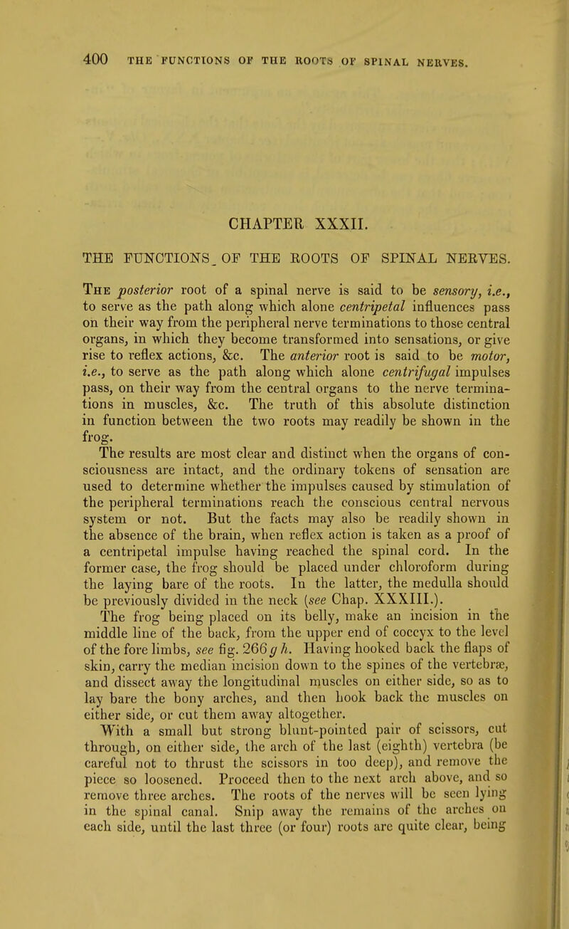 CHAPTER XXXII. THE FUNCTIONS. OF THE ROOTS OF SPINAL NEEVES. The posterior root of a spinal nerve is said to be sensory, i.e., to serve as the path along which alone centripetal influences pass on their way from the peripheral nerve terminations to those central organs, in which they become transformed into sensations, or give rise to reflex actions, &c. The anterior root is said to be motor, i.e., to serve as the path along which alone centrifugal impulses pass, on their way from the central organs to the nerve termina- tions in muscles, &c. The truth of this absolute distinction in function between the two roots may readily be shown in the frog. The results are most clear and distinct when the organs of con- sciousness are intact, and the ordinary tokens of sensation are used to determine whether the impulses caused by stimulation of the peripheral terminations reach the conscious central nervous system or not. But the facts may also be readily shown in the absence of the brain, when reflex action is taken as a proof of a centripetal impulse having reached the spinal cord. In the former case, the frog should be placed under chloroform during the laying bare of the roots. In the latter, the medulla should be previously divided in the neck {see Chap. XXXIII.). The frog being placed on its belly, make an incision in the middle line of the back, from the upper end of coccyx to the level of the fore limbs, see fig. 266g h. Having hooked back the flaps of skin, carry the median incision down to the spines of the vertebrae, and dissect away the longitudinal muscles on either side, so as to lay bare the bony arches, and then hook back the muscles on either side, or cut them aw^ay altogether. With a small but strong blunt-pointed pair of scissors, cut through, on either side, the arch of the last (eighth) vertebra (be careful not to thrust the scissors in too deep), and remove the piece so loosened. Proceed then to the next arch above, and so remove three arches. The roots of the nerves will be seen lying in the spinal canal. Snip away the remains of the arches ou each side, until the last three (or four) roots are quite clear, being