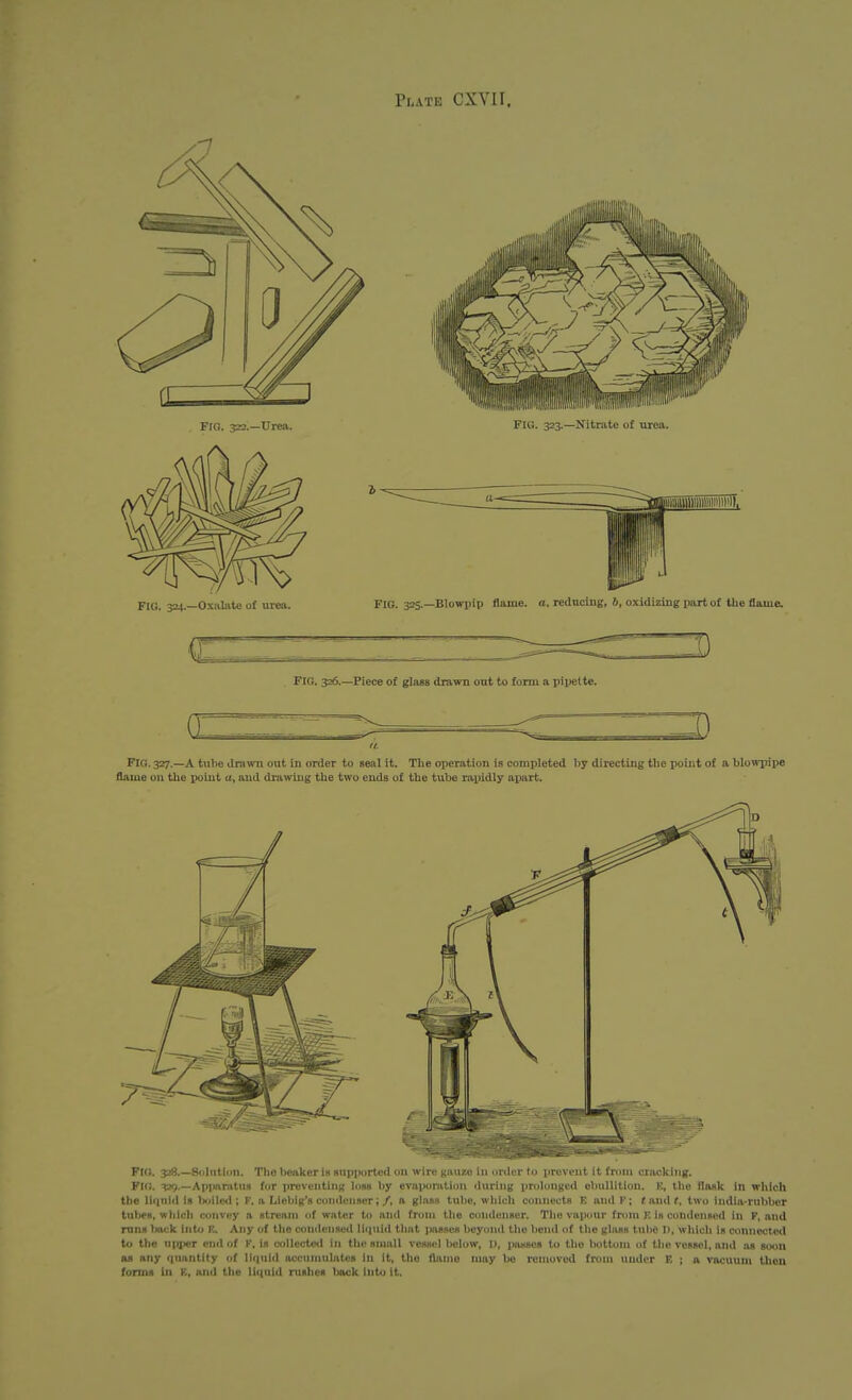 FIG. 324.—Oxalate of urea. FIG. 325.—BlowiJip flame, a. rednciiig, 6, o.\idizmg jmrtof the flaiue. Fig. 326.—Piece of glass drawn out to form a pipette. ft- FIG. 327.—A tube ilrawn out in order to seal it. The operation is completed by directing the point of a blonTpipe flame ou the point a, and drawing the two ends of the tube rapidly apart. Fig. 328.—Solution. The beaker is supported ou wire ^ nt it (mm cracking. Flti. -^jij.—Apparatus for preventing loss by evaporatiuii iluiiiig piuluugcd ebullition. K, the flask in which the liquid Is boilc<l; F. a Lleblg's condenser; /, a glass tube, which connects E and V; t and t, two India-rubber tubes, which convoy a stream of water to and from the condenser. The vajiour from K is condensed in F, and runs l>a<;k Into E. Any of the coikIcmsccI lliiuid that juisses beyond the bend of tlio gluss tube I), which is connected to the upjjer end of K, Is collected in the small vessel below, li, inutses to tlio bottom of tlie vessel, and sut soon as any (|uantlty of liquid accumulates In it, the flame may bo removed from under F. ; a vacuum thou