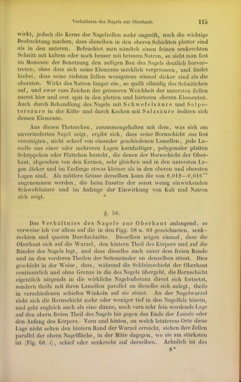 wirkt, jedoch die Kerne der Nagelzellen mehr angreift, noch die wichtige Beobachtung machen, dass dieselben in den oberen Schichten platter sind als in den unteren. Befeuchtet man nämlich einen feinen senkrechten Schnitt mit kaltem oder noch besser mit heissem Natron, so sieht man fast im Momente der Benetzung den zelligen Bau des Nagels deutlich hervor- treten, ohne dass sich seine Elemente merklich vergrössern, und findet hiebei, dass seine tiefsten Zellen wenigstens einmal dicker sind als die obersten. Wirkt das Natron länger ein , so quillt allmälig das Schnittchen auf, und zwar zum Zeichen der grösseren Weichheit der untersten Zellen zuerst hier und erst spät in den platten und härteren oberen Elementen. Auch durch Behandlung des Nagels mit Schwefelsäure und Salpe- tersäure in der Kälte und durch Kochen mit Salzsäure isoliren sich dessen Elemente. Aus diesen Thatsachen, zusammengehalten mit dem, was sich am unveränderten Nagel zeigt, ergibt sich, dass seine Hornschicht aus fest vereinigten, nicht scharf von einander geschiedenen Lamellen, jede La- melle aus einer oder mehreren Lagen kernhaltiger, polygonaler platten Schüppchen oder Plättchen besteht, die denen der Hornschicht der Ober- haut, abgesehen von den Kernen, sehr gleichen und in den untersten La- gen dicker und im Umfange etwas kleiner als in den oberen und obersten Lagen sind. Als mittlere Grösse derselben kann die von 0,012—0,016' angenommen werden, die beim Zusätze der sonst wenig einwirkenden Schwefelsäure und im Anfange der Einwirkung von Kali und Natron sieh zeigt. §• 50. Das Verhältniss des Nagels zur Oberhaut anlangend, so verweise ich vor allem auf die in den Figg. 58 u. 60 gezeichneten, senk- rechten und queren Durchschnitte. Dieselben zeigen einmal, dass die Oberhaut sich auf die Wurzel, den hintern Theil des Körpers und auf die Bänder des Nagels legt, und dass dieselbe auch unter dem freien Bande und an den vorderen Theilen der Seitenränder an denselben stösst. Dies geschieht in der Weise, dass, während die Schleimschicht der Oberhaut continuirlich und ohne Grenze in die des Nagels übergeht, die Hornschicht eigentlich nirgends in die wirkliche Nagelsubstanz direct sich fortsetzt, sondern theils mit ihren Lamellen parallel an dieselbe sich anlegt, theils in verschiedenen schiefen Winkeln auf sie stösst. An der Nagelwurzel zieht sich die Hornschicht mehr oder weniger tief in den Nagelfalz hinein, und geht zugleich auch als eine dünne, nach vorn sehr fein werdende Lage auf den obern freien Theil des Nagels bis gegen das Ende der Lumda oder den Anfang des Körpers. Vorn und hinten, an welch letzterem Orte diese Lage nicht selten den hintern Band der Wurzel erreicht, stehen ihre Zellen parallel der obern Nagelfläche, in der Mitte dagegen, wo sie am stärksten ist (Fig. 60. i), schief oder senkrecht auf derselben. Aehnlich ist das 8*