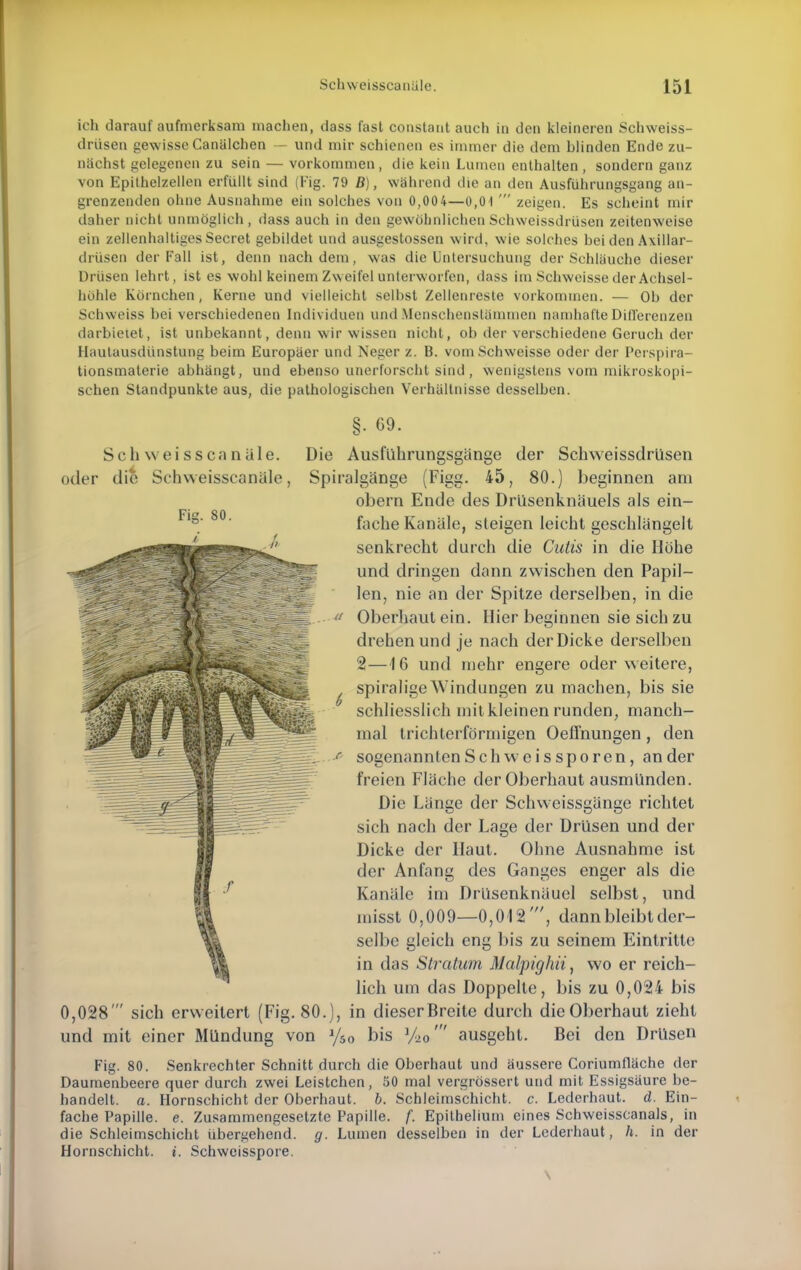 Fig. 80. ich darauf aufmerksam machen, dass fast constant auch in den kleineren Schweiss- drüsen gewisse Canälchen — und mir schienen es immer die dem blinden Ende zu- nächst gelegenen zu sein — vorkommen, die kein Lumen enthalten, sondern ganz von Epithelzellen erfüllt sind (Fig. 79 B), wahrend die an den Ausführungsgang an- grenzenden ohne Ausnahme ein solches von 0,004—0,0 I ' zeigen. Es scheint mir daher nicht unmöglich, dass auch in den gewöhnlichen Schweissdrüsen zeitenweise ein zcllenhaltiges Secret gebildet und ausgestossen wird, wie solches bei den Axillar- diüsen der Fall ist, denn nachdem, was die Untersuchung der Schläuche dieser Drüsen lehrt, ist es wohl keinem Zweifel unterworfen, dass im Schweisse der Achsel- höhle Körnchen, Kerne und vielleicht seihst Zellenreste vorkommen. — Ob der Schweiss bei verschiedenen Individuen und Menschenstämmen namhafte Differenzen darbietet, ist unbekannt, denn wir wissen nicht, ob der verschiedene Geruch der Hautausdünstung beim Europäer und Neger z. B. vom Schweisse oder der Perspira- tionsmaterie abhängt, und ebenso unerforscht sind , wenigstens vom mikroskopi- schen Standpunkte aus, die pathologischen Verhältnisse desselben. §. G9. Schweisscanüle. Die Ausführungsgänge der Schweissdrüsen oder die Schweisscanäle, Spiralgänge (Figg. 45, 80.) beginnen am obern Ende des Drüsenknäuels als ein- fache Kanäle, sieigen leicht geschlängelt senkrecht durch die Cutis in die Höhe und dringen dann zwischen den Papil- len, nie an der Spitze derselben, in die a Oberhaut ein. Hier beginnen sie sich zu drehen und je nach der Dicke derselben 2—4 6 und mehr engere oder weitere, spiralige Windungen zu machen, bis sie schliesslich mit kleinen runden, manch- mal trichterförmigen Oeffnungen , den * sogenannten Schweis sporen, ander freien Fläche der Oberhaut ausmünden. Die Länge der Schweissgänge richtet sich nach der Lage der Drüsen und der Dicke der Haut. Ohne Ausnahme ist der Anfang des Ganges enger als die Kanäle im Drusenknäuel selbst, und misst 0,009—0,012', dann bleibt der- selbe gleich eng bis zu seinem Eintritte in das Stratum Malpighii, wo er reich- lich um das Doppelte, bis zu 0,024 bis 0,028' sich erweitert (Fig. 80.), in dieserBreite durch dieOberhaut zieht und mit einer Mündung von y5o bis ]/20' ausgeht. Bei den Drüsen Fig. 80. Senkrechter Schnitt durch die Oberhaut und äussere Coriumfläche der Daumenbeere quer durch zwei Leistchen, 50 mal vergrössert und mit Essigsäure be- handelt, a. Hornschicht der Oberhaut, b. Schleimschicht, c. Lederhaut. d. Ein- fache Papille, e. Zusammengesetzte Papille, f. Epithelium eines Schweisscanais, in die Schleimschicht übergehend, g. Lumen desselben in der Lederhaut, h. in der Hornschicht, i. Schweisspore.