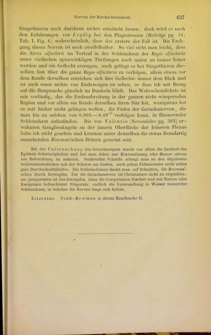 Säugethieren noch durchaus nichts ermitteln lassen, doch wird es nach den Erfahrungen von Leydig bei den Plagiostomen (Beiträge pg Tab. I. Fig. 6) wahrscheinlich, dass das erstere der Fall ist. Die Endi- gung dieser Nerven ist noch zweifelhafter. So viel sieht man leicht, dass die Nervi olfactorii im Verlauf in der Schleimhaut der Regio olfactoria unter vielfachen spitzw inkligen Theilungen nach unten zu immer feiner werden und ein Gellecht erzeugen, auch gelingt es bei Säugethieren die- selben fast über die ganze Regio olfactoria zu verfolgen, allein etwas vor dem Rande derselben entziehen sich ihre Geflechte immer dem Klick und ist auch sonst nichts von Endzweigen zu sehen, so dass ich mit Bezug auf die Hauptsache gänzlich im Dunkeln blieb. Das Wahrscheinlichste ist mir vorläufig, das die Endausbreitung in der ganzen nicht wimpernden Hegion und vor allem am Rande derselben ihren Sitz hat, wenigstens hat es mir bisher nicht gelingen wollen, die Fäden der Geruchsnerven , die man bis zu solchen von 0,005 — 0,01' verfolgen kann, in flimmernder Schleimhaut aufzufinden. Die von Valentin (Nervenlehre pg. 303) er- wähnten Ganglienkugeln an der innern Oberfläche der feineren Plexus habe ich nicht gesehen und könnten unter denselben die etwas fremdartig aussehenden Bowman'sehen Drüsen gemeint sein. Bei der Untersuchung des Geruchsorgans macht vor allem die Zartheit des Epithels Schwierigkeiten und hat man daher nur Eiweisslösung oder Humor vitreus zur Befeuchtung zu nehmen. Senkrechte Schnitte erlangt man an den abgelösten Schleimhautstückcn mit der Scheere am besten, auch geben Faltenränder nicht selten gute Durchschnittsbilder. Die Schleimdrüsen findet man auf Schnitten, die Bowmari- schen durch Zerzupfen. Für die Geruchsnerven ist Chromsäure nicht zu empfehlen ; am geeignetsten ist das Zerzupfen, dann die Compression frischer und mit Natron oder Essigsäure befeuchteter Präparate, endlich die Untersuchung in Wasser macerirter Schleimhaut, in welcher die Nerven lange sich halten. Literatur. Todd-Do toman in ihrem Handbuche II.