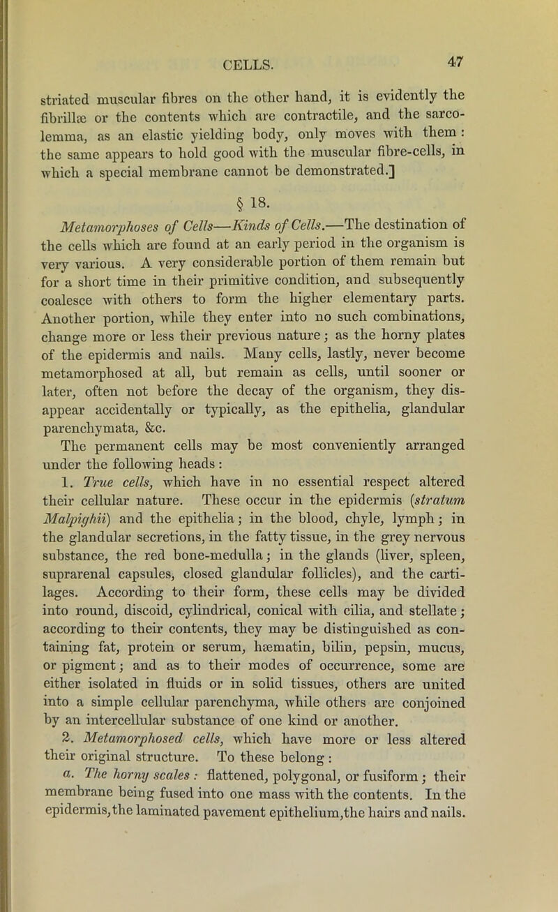 striated muscular fibres on the other hand, it is evidently the fihrillee or the contents which are contractile, and the sarco- lemma, as an elastic yielding body, only moves with them : the same appears to hold good with the muscular fibre-cells, in which a special membrane cannot be demonstrated.] § 18. Metamorphoses of Cells—Kinds of Cells.—The destination of the cells which are found at an early period in the organism is very various. A very considerable portion of them remain but for a short time in their primitive condition, and subsequently coalesce with others to form the higher elementary parts. Another portion, while they enter into no such combinations, change more or less their previous nature; as the horny plates of the epidermis and nails. Many cells, lastly, never become metamorphosed at all, but remain as cells, until sooner or later, often not before the decay of the organism, they dis- appear accidentally or typically, as the epithelia, glandular parenchymata, &c. The permanent cells may be most conveniently arranged under the following heads : 1. True cells, which have in no essential respect altered their cellular nature. These occur in the epidermis {stratum Malpighii) and the epithelia; in the blood, chyle, lymph; in the glandular secretions, in the fatty tissue, in the grey nervous substance, the red bone-medulla • in the glands (liver, spleen, suprarenal capsules, closed glandular follicles), and the carti- lages. According to their form, these cells may be divided into round, discoid, cylindrical, conical with cilia, and stellate; according to their contents, they may be distinguished as con- taining fat, protein or serum, hajmatin, bilin, pepsin, mucus, or pigment; and as to their modes of occurrence, some are either isolated in fluids or in solid tissues, others are united into a simple cellular parenchyma, while others are conjoined by an intercellular substance of one kind or another. 2. Metamorphosed cells, which have more or less altered their original structure. To these belong : a. The horny scales : flattened, polygonal, or fusiform; their membrane being fused into one mass with the contents. In the epidermis,the laminated pavement epithelium,the hairs and nails.