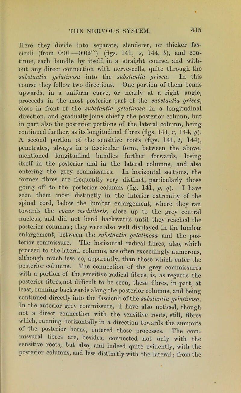 Here they divide into separate, slenderer, or thicker fas- ciculi (from 0-01—O'C^') (figs. 141, s, 144, b), and con- tinue, each bundle by itself, in a straight course, and with- out any direct connection with nerve-cells, quite through the substantia gelatinosa into the substantia grisea. In this course they follow two directions. One portion of them bends upwards, in a uniform curve, or nearly at a right angle, proceeds in the most posterior part of the substantia grisea, close in front of the substantia gelatinosa in a longitudinal direction, and gradually joins chiefly the posterior column, but in part also the posterior portions of the lateral column, being continued further, as its longitudinal fibres (figs. 141, r, 144, g). A second portion of the sensitive roots (figs. 141, t, 144), penetrates, always in a fascicular form, between the above- mentioned longitudinal bundles further forwards, losing itself in the posterior and in the lateral columns, and also entering the grey commissures. In horizontal sections, the former fibres are frequently very distinct, particularly those going off to the posterior columns (fig. 141, p, q). I have seen them most distinctly in the inferior extremity of the spinal cord, below the lumbar enlargement, where they ran towards the conus medullaris, close up to the grey central nucleus, and did not bend backwards until they reached the posterior columns; they were also well displayed in the lumbar enlargement, between the substantia gelatinosa and the pos- terior commissure. The horizontal radical fibres, also, which proceed to the lateral columns, are often exceedingly numerous, although much less so, apparently, than those which enter the posterior columns. The connection of the grey commissures with a portion of the sensitive radical fibres, is, as regards the posterior fibres,not difficult to be seen, these fibres, in part, at least, l’unning backwards along the posterior columns, and being continued directly into the fasciculi of the substantia gelatinosa. In the anterior grey commissure, I have also noticed, though not a direct connection with the sensitive roots, still, fibres which, running horizontally in a direction towards the summits of the posterior horns, entered those processes. The com- missural fibres are, besides, connected not only with the sensitive roots, but also, and indeed quite evidently, with the posterior columns, and less distinctly with the lateral; from the