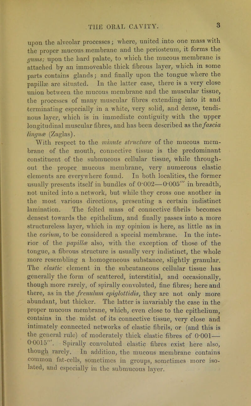 upon the alveolar processes; where, united into one mass with the proper mucous membrane and the periosteum, it forms the gums; upon the hard palate, to which the mucous membrane is attached by an immoveable thick fibrous layer, which in some parts contains glands j and finally upon the tongue where the papilla? are situated. In the latter case, there is a very close union between the mucous membrane and the muscular tissue, the processes of many muscular fibres extending into it and terminating especially in a white, very solid, and dense, tendi- nous layer, which is in immediate contiguity with the upper longitudinal muscular fibres, and has been described as the fascia lingua (Zaglas). With respect to the minute structure of the mucous mem- brane of the mouth, connective tissue is the predominant constituent of the submucous cellular tissue, while through- out the proper mucous membrane, very numerous elastic elements are everywhere found. In both localities, the former usually presents itself in bundles of 0-00.2—0-005' in breadth, not united into a network, but while they cross one another in the most various directions, presenting a certain indistinct lamination. The felted mass of connective fibrils becomes densest towards the epithelium, and finally passes into a more structureless layer, which in my opinion is here, as little as in the corium, to be considered a special membrane. In the inte- rior of the papilla also, with the exception of those of the tongue, a fibrous structure is usually very indistinct, the whole more resembling a homogeneous substance, slightly granular. The elastic element in the subcutaneous cellular tissue has generally the form of scattered, interstitial, and occasionally, though more rarely, of spirally convoluted, fine fibres; here and there, as in the frenulum epiglottidis, they are not only more abundant, but thicker. The latter is invariably the case in the proper mucous membrane, which, even close to the epithelium, contains in the midst of its connective tissue, very close and intimately connected networks of elastic fibrils, or (and this is the general rule) of moderately thick elastic fibres of 0-001— 0-0015'. Spirally convoluted elastic fibres exist here also, though rarely. In addition, the mucous membrane contains common fat-cells, sometimes in groups, sometimes more iso- lated, and especially in the submucous layer.