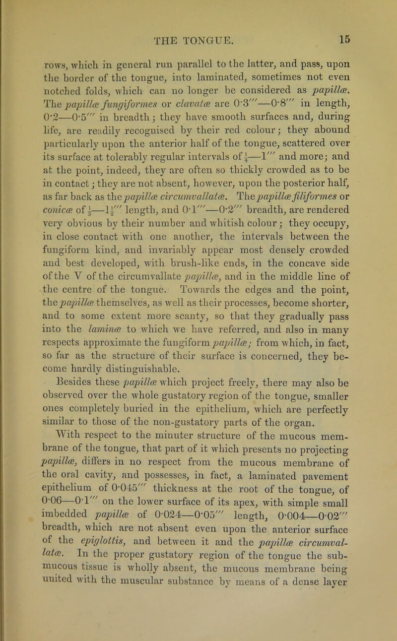 rows, which in general run parallel to the latter, and pass, upon the border of the tongue, into laminated, sometimes not even notched folds, which can no longer be considered as papillae. The papilhe fungiformes or clavata are 0-3'—0-8' in length, 0*2—0-5' in breadth; they have smooth surfaces and, during life, are readily recognised by their red colour; they abound particularly upon the anterior half of the tongue, scattered over its surface at tolerably regular intervals of i—1' and more; and at the point, indeed, they are often so thickly crowded as to be in contact; they are not absent, however, upon the posterior half, as far back as the papilla circumvallata. The papilla filiformes or conica of |—1±' length, and Ol'—0-2' breadth, are rendered very obvious by their number and whitish colour; they occupy, in close contact with one another, the intervals between the fungiform kind, and invariably appear most densely crowded and best developed, with brush-like ends, in the concave side of the V of the circumvallate papilla, and in the middle line of the centre of the tongue. Towards the edges and the point, the papilla themselves, as well as their processes, become shorter, and to some extent more scanty, so that they gradually pass into the lamina to which we have referred, and also in many respects approximate the fungiformpajnlla; from which, in fact, so far as the structure of their surface is concerned, they be- come hardly distinguishable. Besides these papilla which project freely, there may also be observed over the whole gustatory region of the tongue, smaller ones completely buried in the epithelium, which are perfectly similar to those of the non-gustatory parts of the organ. With respect to the minuter structure of the mucous mem- brane of the tongue, that part of it which presents no projecting papilla, differs in no respect from the mucous membrane of the oral cavity, and possesses, in fact, a laminated pavement epithelium of 0-045' thickness at the root of the tongue, of 0-06—01' on the lower surface of its apex, with simple small imbedded papilla of 0-024—0-05' length, 0-004—0-02' breadth, which are not absent even upon the anterior surface of the epiglottis, and between it and the papilla circumval- lata. In the proper gustatory region of the tongue the sub- mucous tissue is wholly absent, the mucous membrane being united with the muscular substance by means of a dense layer