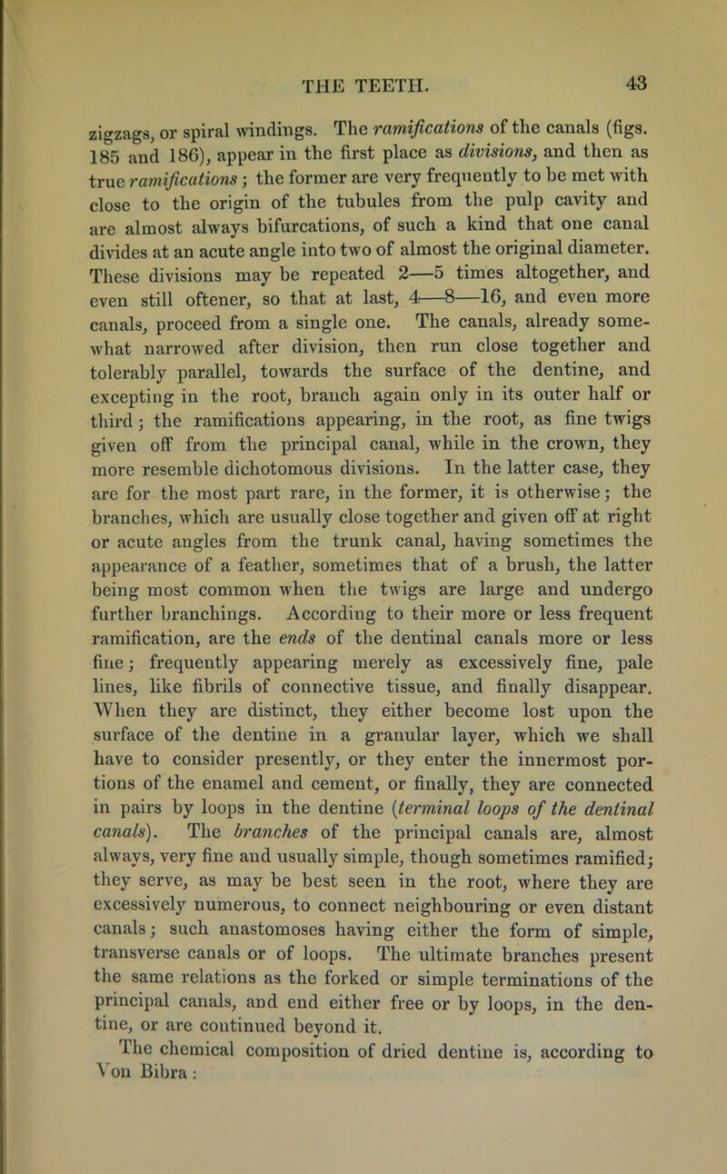 zigzags, or spiral windings. The ramifications of the canals (figs. 185 and 186), appear in the first place as divisions, and then as true ramifications; the former are very frequently to be met with close to the origin of the tubules from the pulp cavity and are almost always bifurcations, of such a kind that one canal divides at an acute angle into two of almost the original diameter. These divisions may be repeated 2—5 times altogether, and even still oftener, so that at last, 4—8—16, and even more canals, proceed from a single one. The canals, already some- what narrowed after division, then run close together and tolerably parallel, towards the surface of the dentine, and excepting in the root, branch again only in its outer half or third ; the ramifications appearing, in the root, as fine twigs given off from the principal canal, while in the crown, they more resemble dichotomous divisions. In the latter case, they are for the most part rare, in the former, it is otherwise; the branches, which are usually close together and given off at right or acute angles from the trunk canal, having sometimes the appearance of a feather, sometimes that of a brush, the latter being most common when the twigs are large and undergo further branchings. According to their more or less frequent ramification, are the ends of the dentinal canals more or less fine; frequently appearing merely as excessively fine, pale lines, like fibrils of connective tissue, and finally disappear. When they are distinct, they either become lost upon the surface of the dentine in a granular layer, which we shall have to consider presently, or they enter the innermost por- tions of the enamel and cement, or finally, they are connected in pairs by loops in the dentine {terminal loops of the dentinal canals). The branches of the principal canals are, almost always, very fine and usually simple, though sometimes ramified; they serve, as may be best seen in the root, where they are excessively numerous, to connect neighbouring or even distant canals; such anastomoses having either the form of simple, transverse canals or of loops. The ultimate branches present the same relations as the forked or simple terminations of the principal canals, and end either free or by loops, in the den- tine, or are continued beyond it. The chemical composition of dried dentine is, according to Von Bibra :