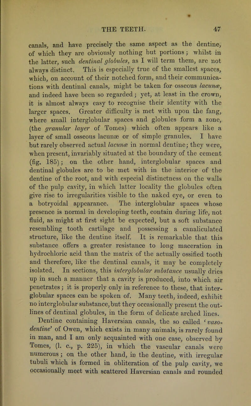 canals, and have precisely the same aspect as the dentine, of which they are obviously nothing but portions; whilst in the latter, such dentinal globules, as I will term them, are not always distinct. This is especially true of the smallest spaces, which, on account of their notched form, and their communica- tions with dentinal canals, might be taken for osseous lacunae, and indeed have been so regarded; yet, at least in the crown, it is almost always easy to recognise their identity with the larger spaces. Greater difficulty is met with upon the fang, where small interglobular spaces and globules form a zone, (the granular layer of Tomes) which often appears like a layer of small osseous lacunas or of simple granules. I have but rarely observed actual lacuna in normal dentine; they were, when present, invariably situated at the boundary of the cement (fig. 185); on the other hand, interglobular spaces and dentinal globules are to be met with in the interior of the dentine of the root, and with especial distinctness on the walls of the pulp cavity, in which latter locality the globules often give rise to irregularities visible to the naked eye, or even to a botryoidal appearance. The interglobular spaces whose presence is normal in developing teeth, contain during life, not fluid, as might at first sight be expected, but a soft substance resembling tooth cartilage and possessing a canaliculated structure, like the dentine itself. It is remarkable that this substance offers a greater resistance to long maceration in hydrochloric acid than the matrix of the actually ossified tooth and therefore, like the dentinal canals, it may be completely isolated. In sections, this interglobular substance usually dries up in such a manner that a cavity is produced, into which air penetrates; it is properly only in reference to these, that inter- globular spaces can be spoken of. Many teeth, indeed, exhibit no interglobular substance,but they occasionally present the out- lines of dentinal globules, in the form of delicate arched lines. Dentine containing Haversian canals, the so called ' vaso- dentine' of Owen, which exists in many animals, is rarely found in man, and I am only acquainted with one case, observed by Tomes, (1. c, p. 225), in which the vascular canals were numerous; on the other hand, in the dentine, with irregular tubuli which is formed in obliteration of the pulp cavity, we occasionally meet with scattered Haversian canals and rounded