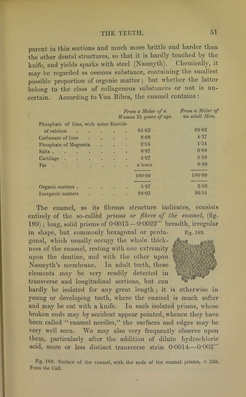 parent in thin sections and much more brittle and harder than the other dental structures, so that it is hardly touched by the knife, and yields sparks with steel (Nasmyth). Chemically, it may be regarded as osseous substance, containing the smallest possible proportion of organic matter; but whether the latter belong to the class of collagenous substances or not is un- certain. According to Von Bibra, the enamel contains : From a Molar of a Woman 25 years of age. Phosphate of lime, with some fluoride of calcium Carbonate of lime Phosphate of Magnesia Salts .... Cartilage . Fat . Organic matters . Inorganic matters 81-63 8-88 2-55 0-97 5-97 a trace 100 00 5 97 94-03 From a Molar of an adult Man. 89-82 4-37 1-34 0-88 3-39 0-20 100-00 3-59 96-51 The enamel, as its fibrous structure indicates, consists entirely of the so-called prisms or fibres of the enamel, (fig. 189); long, solid prisms of 0-0015 — 0-0022' breadth, irregular in shape, but commonly hexagonal or penta- Fig. 189. gonal, which usually occupy the whole thick- ^jj^ s£$£ ness of the enamel, resting with one extremity upon the dentine, and with the other upon NasmyttVs membrane. In adult teeth, these elements may be very readily detected in transverse and longitudinal sections, but can hardly be isolated for any great length; it is otherwise in young or developing teeth, where the enamel is much softer and may be cut with a knife. In such isolated prisms, whose broken ends may by accident appear pointed, whence they have been called  enamel needles, the surfaces and edges may be very well seen. We may also very frequently observe upon them, particularly after the addition of dilute hydrochloric acid, more or less distinct transverse striae 0*0014—0-002' Fig. 189. Surface of the enamel, with the ends of the enamel prisms, x 350. From the Calf.