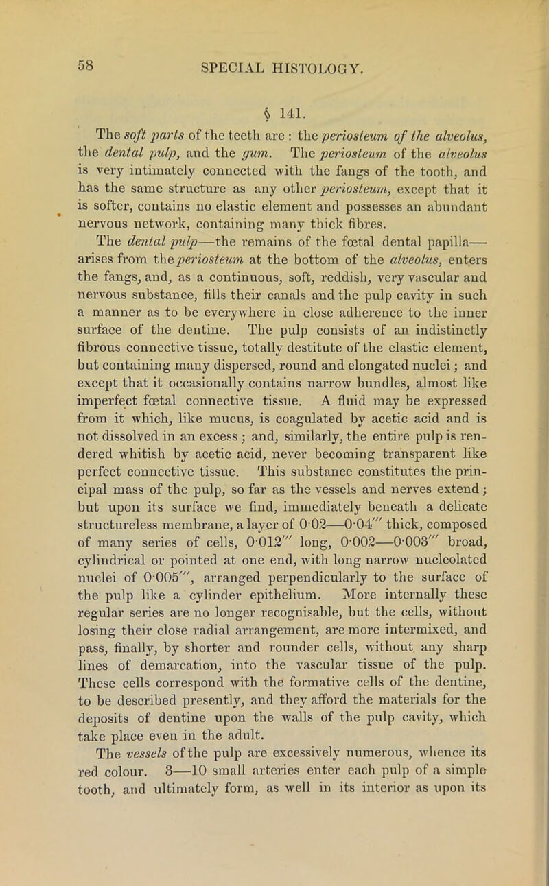 § 141. The soft parts of the teeth are : the periosteum of the alveolus, the dental pulp, and the gum. The periosteum of the alveolus is very intimately connected with the fangs of the tooth, and has the same structure as any other periosteum, except that it is softer, contains no elastic element and possesses an abundant nervous network, containing many thick fibres. The dental pulp—the remains of the foetal dental papilla— arises from the periosteum at the bottom of the alveolus, enters the fangs, and, as a continuous, soft, reddish, very vascular and nervous substance, fills their canals and the pulp cavity in such a manner as to be everywhere in close adherence to the inner surface of the dentine. The pulp consists of an indistinctly fibrous connective tissue, totally destitute of the elastic element, but containing many dispersed, round and elongated nuclei; and except that it occasionally contains narrow bundles, almost like imperfect fcetal connective tissue. A fluid may be expressed from it which, like mucus, is coagulated by acetic acid and is not dissolved in an excess ; and, similarly, the entire pulp is ren- dered whitish by acetic acid, never becoming transparent like perfect connective tissue. This substance constitutes the prin- cipal mass of the pulp, so far as the vessels and nerves extend; but upon its surface we find, immediately beneath a dehcate structureless membrane, a layer of O02—0*04' thick, composed of many series of cells, 0 012' long, 0-002—0-003' broad, cylindrical or pointed at one end, with long narrow nucleolated nuclei of 0-005', arranged perpendicularly to the surface of the pulp like a cylinder epithelium. More internally these regular series are no longer recognisable, but the cells, without losing their close radial arrangement, are more intermixed, and pass, finally, by shorter and rounder cells, without any sharp lines of demarcation, into the vascular tissue of the pulp. These cells correspond with the formative cells of the dentine, to be described presently, and they afford the materials for the deposits of dentine upon the walls of the pulp cavity, which take place even in the adult. The vessels of the pulp are excessively numerous, whence its red colour. 3—10 small arteries enter each pulp of a simple tooth, and ultimately form, as well in its interior as upon its