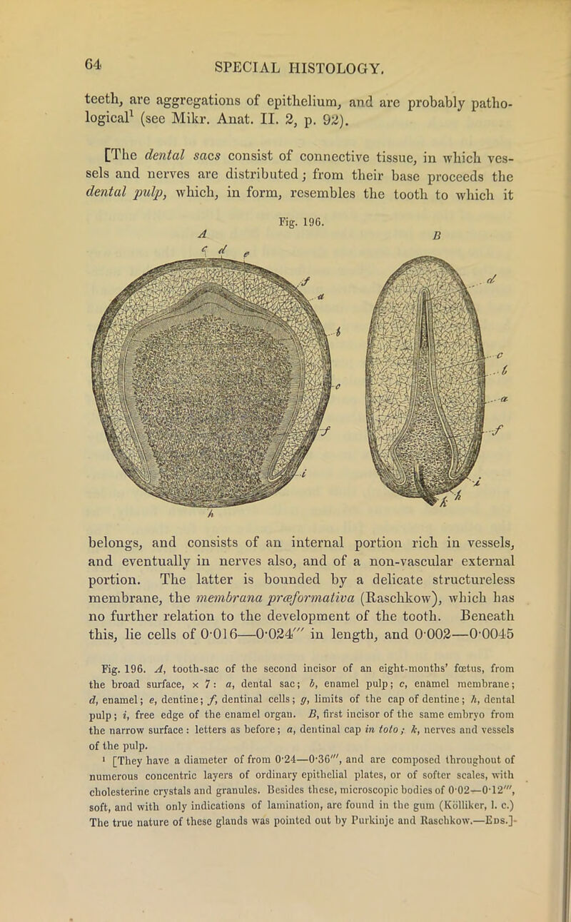 teeth, are aggregations of epithelium, and are probably patho- logical1 (see Mikr. Anat. II. 2, p. 92). [The dental sacs consist of connective tissue, in which ves- sels and nerves are distributed; from their base proceeds the dental pulp, which, in form, resembles the tooth to which it Fig. 196. belongs, and consists of an internal portion rich in vessels, and eventually in nerves also, and of a non-vascular external portion. The latter is bounded by a delicate structureless membrane, the membrana prceformativa (Raschkow), which has no further relation to the development of the tooth. Beneath this, lie cells of 0 016—0-024' in length, and 0 002—0-0045 Fig. 196. A, tooth-sac of the second incisor of an eight-months' foetus, from the broad surface, x 7: a, dental sac; b, enamel pulp; c, enamel membrane; d, enamel; e, dentine; f, dentinal cells; g, limits of the cap of dentine; h, dental pulp; i, free edge of the enamel organ. B, first incisor of the same embryo from the narrow surface: letters as before; a, dentinal cap in tolo ; k, nerves and vessels of the pulp. 1 [They have a diameter of from 0-24—0-36', and are composed throughout of numerous concentric layers of ordinary epithelial plates, or of softer scales, with cholesterine crystals and granules. Besides these, microscopic bodies of 0-02—0-12', soft, and with only indications of lamination, are found in the gum (Kiillikcr, 1. c.) The true nature of these glands was pointed out by Purkinje and Raschkow.—Eds.]-