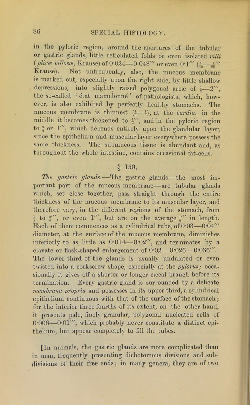 in the pyloric region, around the apertures of the tubular or gastric glands, little reticulated folds or even isolated villi (plica villosce, Krause) of 0-024—0*048' or even 0T' — Krause). Not ^infrequently, also, the mucous membrane is marked out, especially upon the right side, by little shallow depressions, into slightly raised polygonal areaj of i—2', the so-called ' etat mamelonne' of pathologists, which, how- ever, is also exhibited by perfectly healthy stomachs. The mucous membrane is thinnest —\), at the cardia, in the middle it becomes thickened to i', and in the pyloric region to 2 or 1', which depends entirely upon the glandular layer, since the epithelium and muscular layer everywhere possess the same thickness. The submucous tissue is abundant and, as throughout the whole intestine, contains occasional fat-cells. § 150. The gastric glands.—The gastric glands—the most im- portant part of the mucous membrane—are tubular glands which, set close together, pass straight through the entire thickness of the mucous membrane to its muscular layer, and therefore vary, in the different regions of the stomach, from 1 to §', or even 1', but are on the average % in length. Each of them commences as a cylindrical tube, of 0*03—0-04' diameter, at the surface of the mucous membrane, diminishes inferiorly to as little as 0*014—0 02', and terminates by a clavate or flask-shaped enlargement of 0-02—0*026—0*036'. The lower third of the glands is usually undulated or even twisted into a corkscrew shape, especially at the pylorus; occa- sionally it gives off a shorter or longer csecal branch before its termination. Every gastric gland is surrounded by a delicate membrana propria and possesses in its upper third, a cylindrical epithelium continuous with that of the surface of the stomach; for the inferior three fourths of its extent, on the other hand, it presents pale, finely granular, polygonal nucleated cells of 0 006—0*01', which probably never constitute a distinct epi- thelium, but appear completely to fill the tubes. [In animals, the gastric glands are more complicated than in man, frequently presenting dichotomous divisions and sub- divisions of their free ends; in many genera, they arc of two