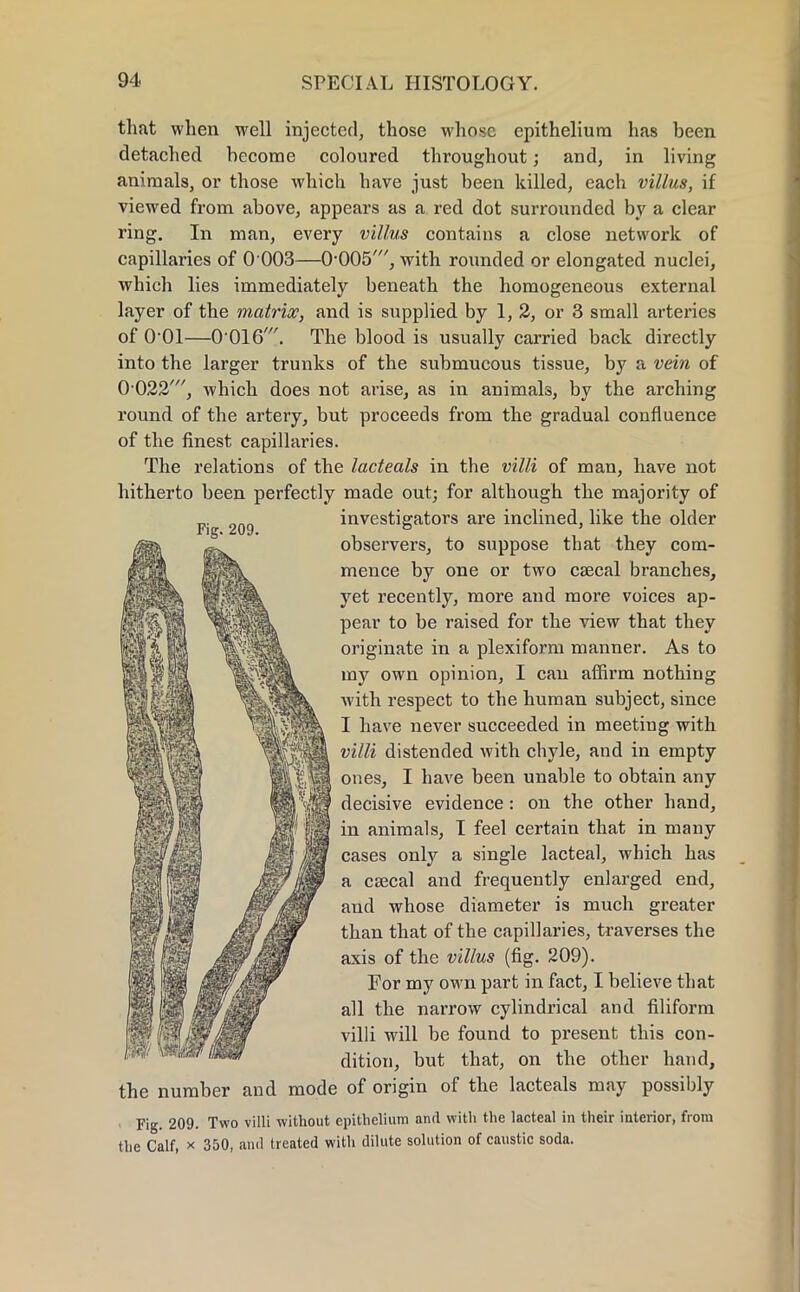that when well injected, those whose epithelium has been detached become coloured throughout; and, in living animals, or those which have just been killed, each villus, if viewed from above, appears as a red dot surrounded by a clear ring. In man, every villus contains a close network of capillaries of 0 003—0-005', with rounded or elongated nuclei, which lies immediately beneath the homogeneous external layer of the matrix, and is supplied by 1, 2, or 3 small arteries of 0 01—0016'. The blood is usually carried back directly into the larger trunks of the submucous tissue, by a vein of 0022', which does not arise, as in animals, by the arching round of the artery, but proceeds from the gradual confluence of the finest capillaries. The relations of the lacteals in the villi of man, have not hitherto been perfectly made out; for although the majority of investigators are inclined, like the older observers, to suppose that they com- mence by one or two csecal branches, yet recently, more and more voices ap- pear to be raised for the view that they originate in a plexiform manner. As to my own opinion, I can affirm nothing with respect to the human subject, since I have never succeeded in meeting with villi distended with chyle, and in empty ones, I have been unable to obtain any decisive evidence: on the other hand, in animals, I feel certain that in many cases only a single lacteal, which has a ca3cal and frequently enlarged end, and whose diameter is much greater than that of the capillaries, traverses the axis of the villus (fig. 209). For my own part in fact, I believe that all the narrow cylindrical and filiform villi will be found to present this con- dition, but that, on the other hand, the number and mode of origin of the lacteals may possibly Fig. 209. Two villi without epithelium and with the lacteal in their interior, from the Calf, x 350, and treated with dilute solution of caustic soda.