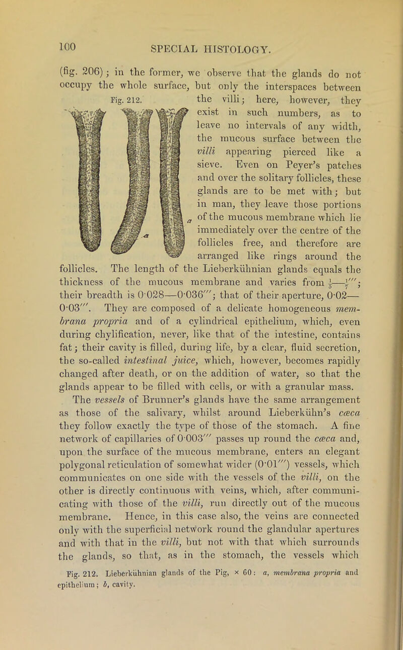 (fig. 206) j in the former, we observe that the glands do not occupy the whole surface, but only the interspaces between the villi; here, however, they '^fet^ il^j^W^P 6X^st in SUC^ numDers; as to yf...J Wm I« leave no intervals of any width, the raucous surface between the villi appearing pierced like a sieve. Even on Peyer's patches and over the solitary follicles, these glands are to be met with; but in man, they leave those portions of the mucous membrane which lie immediately over the centre of the follicles free, and therefore are arranged like rings around the follicles. The length of the Lieberkiihnian glands equals the thickness of the mucous membrane and varies from ±—\'; their breadth is 0 028—0-036'; that of their aperture, 0-02— 0-03'. They are composed of a delicate homogeneous mem- brana propria and of a cylindrical epithelium, which, even during chylification, never, like that of the intestine, contains fat; their cavity is filled, during life, by a clear, fluid secretion, the so-called intestinal juice, which, however, becomes rapidly changed after death, or on the addition of water, so that the glands appear to be filled with cells, or with a granular mass. The vessels of Brunner's glands have the same arrangement as those of the salivarv, whilst around Lieberkuhn's cceca they follow exactly the type of those of the stomach. A fine network of capillaries of 0 003' passes up round the cceca and, upon the surface of the mucous membrane, enters an elegant polygonal reticulation of somewhat wider (001') vessels, which communicates on one side with the vessels of the villi, on the other is directly continuous with veins, which, after communi- cating with those of the villi, run directly out of the mucous membrane. Hence, in this case also, the veins are connected only with the superficial network round the glandular apertures and with that in the villi, but not with that which surrounds the glands, so that, as in the stomach, the vessels which Pig. 212. Lieberkiihnian glands of the Pig, x 60: a, membrana propria and epithelium; b, cavity.