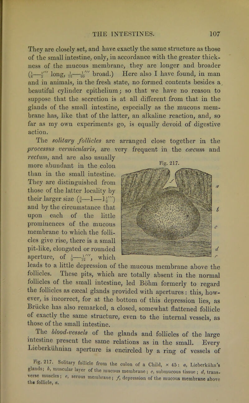 They are closely set, and have exactly the same stmcture as those of the small intestine, only, in accordance with the greater thick- ness of the mucous membrane, they are longer and broader —i' long, ^—~ broad.) Here also I have found, in man and in animals, in the fresh state, no formed contents besides a beautiful cylinder epithelium; so that we have no reason to suppose that the secretion is at all different from that in the glands of the small intestine, especially as the mucous mem- brane has, like that of the latter, an alkaline reaction, and, so far as my own experiments go, is equally devoid of digestive action. The solitary follicles are arranged close together in the processus vermicularis, are very frequent in the ccecum and rectum, and are also usually more abundant in the colon than in the small intestine. They are distinguished from those of the latter locality by their larger size (f—1— and by the circumstance that upon each of the little prominences of the mucous membrane to which the folli- cles give rise, there is a small pit-like, elongated or rounded aperture, of \—which leads to a little depression of the mucous membrane above the follicles. These pits, which are totally absent in the normal follicles of the small intestine, led Bohm formerly to regard the follicles as caacal glands provided with apertures : this, how- ever, is incorrect, for at the bottom of this depression lies, as Briicke has also remarked, a closed, somewhat flattened follicle of exactly the same structure, even to the internal vessels, as those of the small intestine. The blood-vessels of the glands and follicles of the large intestine present the same relations as in the small. Every Lieberkiihnian aperture is encircled by a ring of vessels of Fig. 217. Solitary follicle from the colon of a Child, x 45: a, Lieberkiihn's glands; b, muscular layer of the mucous membrane; c, submucous tissue; d, trans- verse muscles; e, serous membrane; /, depression of the mucous membrane above ths follicle, a.