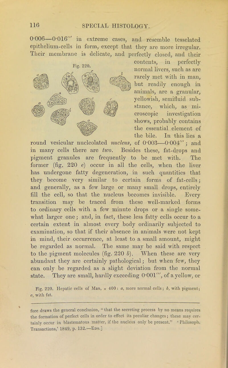 0-006—0-016' iii extreme cases, and resemble tesselated epithelium-cells in form, except that they are more irregular. Their membrane is delicate, and perfectly closed, and their contents, in perfectly normal livers, such as are rarely met with in man, but readily enough in animals, are a granular, yellowish, semifluid sub- stance, which, as mi- croscopic investigation shows, probably contains the essential element of the bile. In this lies a round vesicular nucleolated nucleus, of 0'003—0-004'; and in many cells there are two. Besides these, fat-drops and pigment granules are frequently to be met with. The former (fig. 220 e) occur in all the cells, when the liver has undergone fatty degeneration, in such quantities that they become very similar to certain forms of fat-cells; and generally, as a few large or many small drops, entirely fill the cell, so that the nucleus becomes invisible. Every transition may be traced from these well-marked forms to ordinary cells with a few minute drops or a single some- what larger one; and, in fact, these less fatty cells occur to a certain extent in almost every body ordinarily subjected to examination, so that if their absence in animals were not kept in mind, their occurrence, at least to a small amount, might be regarded as normal. The same may be said with respect to the pigment molecules (fig. 220 b). When these are very abundant they are certainly pathological; but when few, they can only be regarded as a slight deviation from the normal state. They are small, hardly exceeding 0-001', of a yellow, or Fig. 220. Hepatic cells of Man, x 400: a, more normal cells; b, with pigment; c, with fat. fore draws the general conclusion, that the secreting process by no means requires the formation of perfect cells in order to effect its peculiar changes; these may cer- tainly occur in blastematous matter, if the nucleus only be present. ' Philospph. Transactions,* 1849, p. 132.—Eds.]