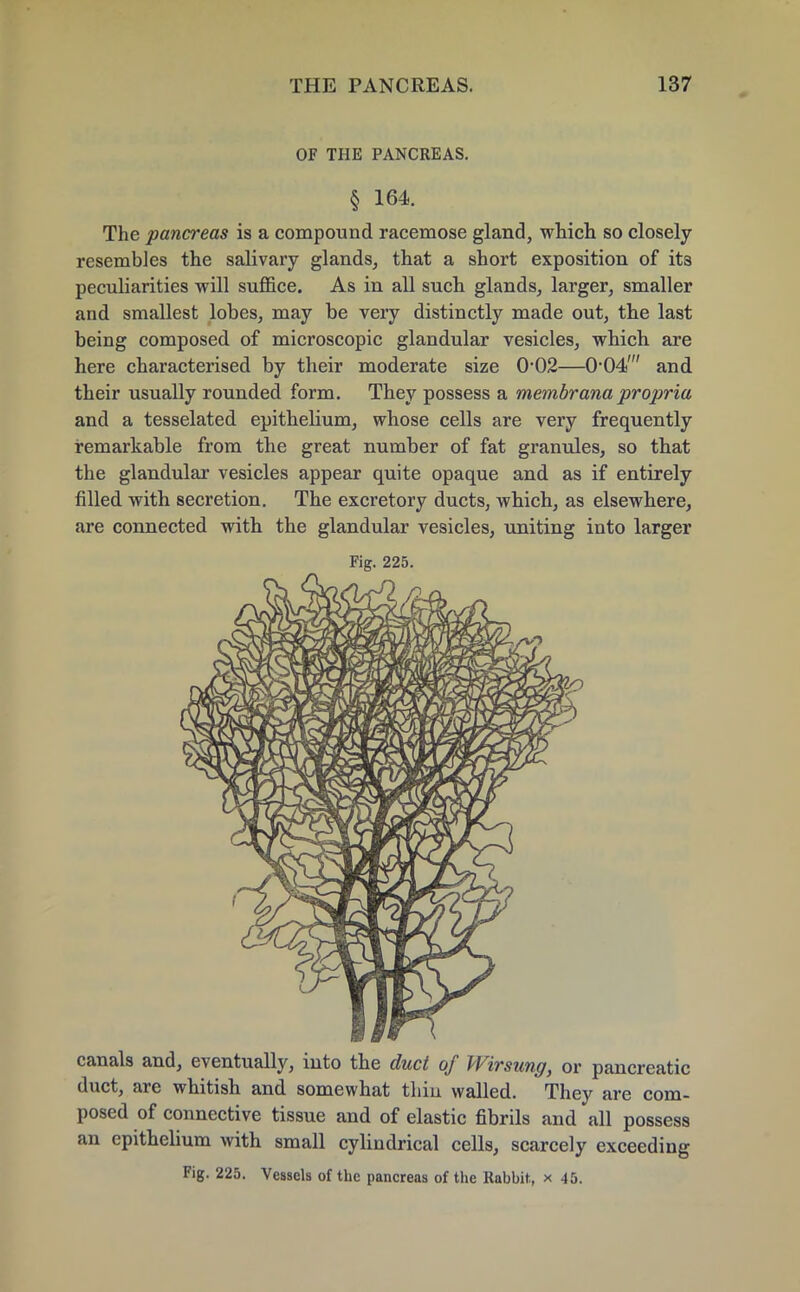 OF THE PANCREAS. § 164. The pancreas is a compound racemose gland, which so closely resembles the salivary glands, that a short exposition of its peculiarities will suffice. As in all such glands, larger, smaller and smallest lobes, may be very distinctly made out, the last being composed of microscopic glandular vesicles, which are here characterised by their moderate size 0-02—0'04' and their usually rounded form. They possess a membrana propria and a tesselated epithelium, whose cells are very frequently remarkable from the great number of fat granules, so that the glandular vesicles appear quite opaque and as if entirely filled with secretion. The excretory ducts, which, as elsewhere, are connected with the glandular vesicles, uniting into larger Fig. 225. canals and, eventually, into the duct of Wirsung, or pancreatic duct, are whitish and somewhat thiu walled. They are com- posed of connective tissue and of elastic fibrils and all possess an epithelium with small cylindrical cells, scarcely exceeding Fig. 225. Vessels of the pancreas of the Rahhit, x 45.
