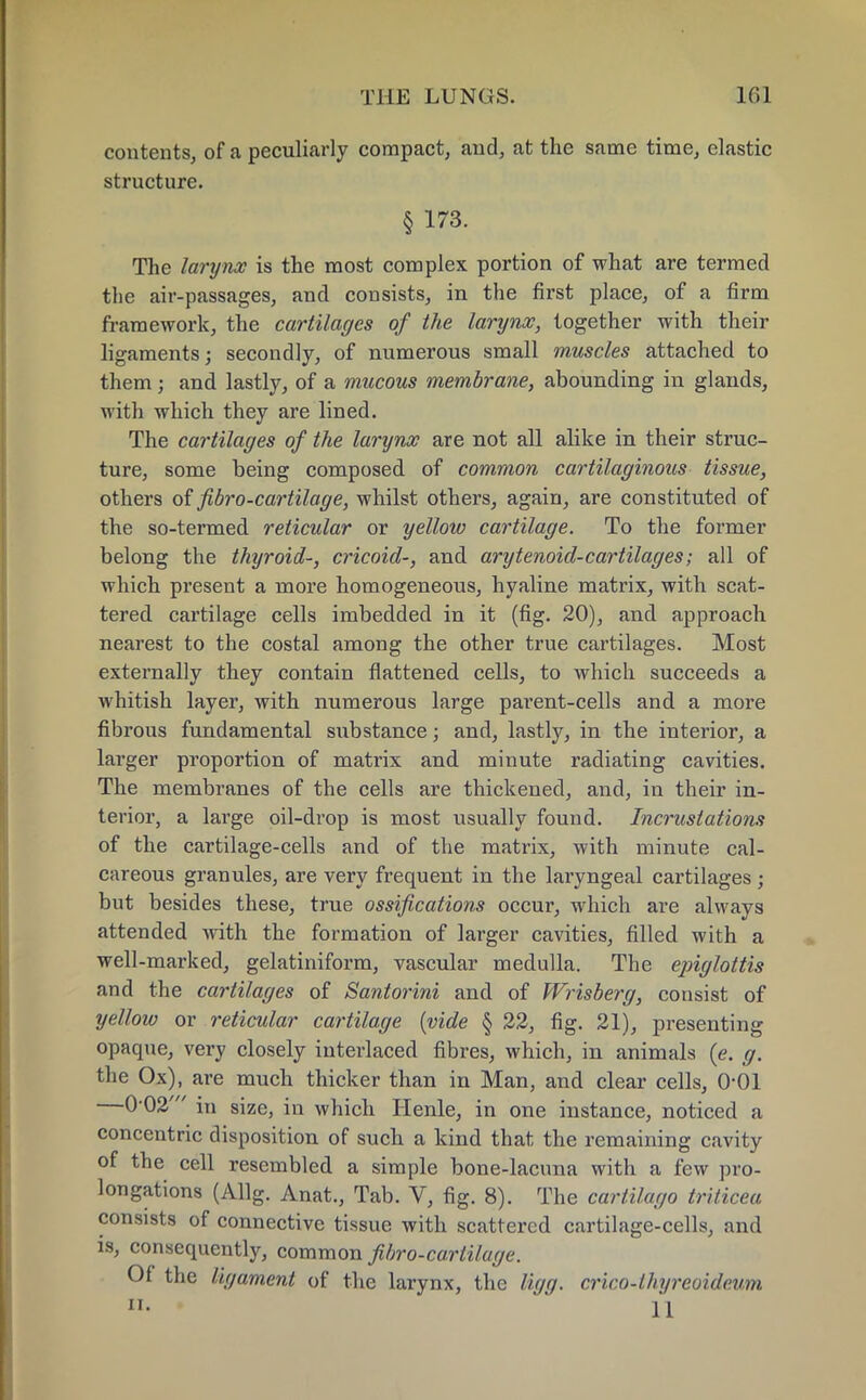 contents, of a peculiarly compact, and, at the same time, elastic structure. § 173. The larynx is the most complex portion of what are termed the air-passages, and consists, in the first place, of a firm framework, the cartilages of the larynx, together with their ligaments; secondly, of numerous small muscles attached to them; and lastly, of a mucous membrane, abounding in glands, with which they are lined. The cartilages of the larijnx are not all alike in their struc- ture, some being composed of common cartilaginous tissue, others of fibro-cartilage, whilst others, again, are constituted of the so-termed reticular or yellow cartilage. To the former belong the thyroid-, cricoid-, and arytenoid-cartilages; all of which present a more homogeneous, hyaline matrix, with scat- tered cartilage cells imbedded in it (fig. 20), and approach nearest to the costal among the other true cartilages. Most externally they contain flattened cells, to which succeeds a whitish layer, with numerous large parent-cells and a more fibrous fundamental substance; and, lastly, in the interior, a larger proportion of matrix and minute radiating cavities. The membranes of the cells are thickened, and, in their in- terior, a large oil-drop is most usually found. Incrustations of the cartilage-cells and of the matrix, with minute cal- careous granules, are very frequent in the laryngeal cartilages; but besides these, true ossifications occur, which are always attended with the formation of larger cavities, filled with a well-marked, gelatiniform, vascular medulla. The epiglottis and the cartilages of Santorini and of Wrisberg, consist of yellow or reticular cartilage {vide § 22, fig. 21), presenting opaque, very closely interlaced fibres, which, in animals (e. g. the Ox), are much thicker than in Man, and clear cells, O01 —O02' in size, in which Henle, in one instance, noticed a concentric disposition of such a kind that the remaining cavity of the cell resembled a simple bone-lacuna with a few pro- longations (Allg. Anat., Tab. V, fig. 8). The carli/ago triticea consists of connective tissue with scattered cartilage-cells, and is, consequently, common fibro-cartilage. Of the ligament of the larynx, the ligg. crico-thyreoideum