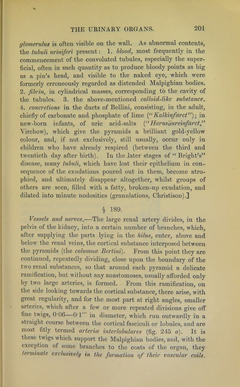 ylomerulus is often visible on the wall. As abnormal contents, the tubuli uriniferi present: 1. blood, most frequently in the commencement of the convoluted tubules, especially the super- ficial, often in such quantity as to produce bloody points as big as a pin's head, and visible to the naked eye, which were formerly erroneously regarded as distended Malpighian bodies. 2. fibrin, in cylindrical masses, corresponding to the cavity of the tubules. 3. the above-mentioned colloid-like substance. 4. concretions in the ducts of Bellini, consisting, in the adult, chiefly of carbonate and phosphate of lime (Kalkinfarct); in new-born infants, of uric acid-salts (Harnsdureinfarct, Virchow), which give the pyramids a brilliant gold-yellow colour, and, if not exclusively, still usually, occur only in children who have already respired (between the third and twentieth day after birth). In the .later stages of  BrightV disease, many tubuli, which have lost their epithelium in con- sequence of the exudations poured out in them, become atro- phied, and ultimately disappear altogether, whilst groups of others are seen, filled with a fatty, broken-up exudation, and dilated into minute nodosities (granulations, Christison).] § 189. Vessels and nerves.—The large renal artery divides, in the pelvis of the kidney, into a certain number of branches, which, after supplying the parts lying in the hilus, enter, above and below the renal veins, the cortical substance interposed between the pyramids (the columnce Bertini). From this point they are continued, repeatedly dividing, close upon the boundary of the two renal substances, so that around each pyramid a delicate ramification, but without any anastomoses, usually afforded only by two large arteries, is formed. From this ramification, on the side looking towards the cortical substance, there arise, with great regularity, and for the most part at right angles, smaller arteries, which after a few or more repeated divisions give off fine twigs, 0 06—O'l' in diameter, which run outwardly in a straight course between the cortical fasciculi or lobules, and are most fitly termed arterice interlobular (fig. 245 a). It is these twigs which support the Malpighian bodies, and, with the exception of some branches to the coats of the organ, they terminate exclusively in the formation of their vascular coils.