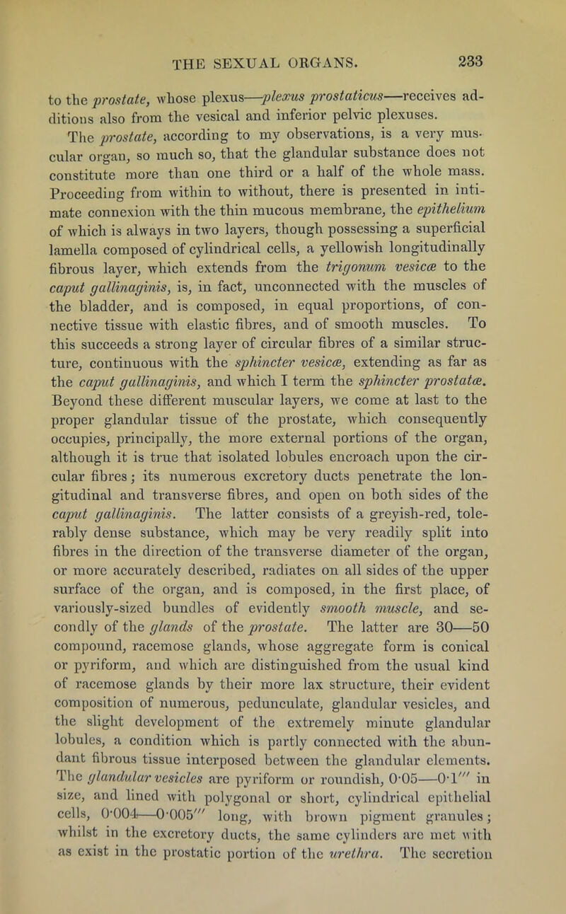 to the prostate, whose plexus—plexus prostaticus—receives ad- ditions also from the vesical and inferior pelvic plexuses. The prostate, according to my observations, is a very mus- cular orgau, so much so, that the glandular substance does not constitute more than one third or a half of the whole mass. Proceeding from within to without, there is presented in inti- mate connexion with the thin mucous membrane, the epithelium of which is always in two layers, though possessing a superficial lamella composed of cylindrical cells, a yellowish longitudinally fibrous layer, which extends from the trigonum vesica to the caput gallinaginis, is, in fact, unconnected with the muscles of the bladder, and is composed, in equal proportions, of con- nective tissue with elastic fibres, and of smooth muscles. To this succeeds a strong layer of circular fibres of a similar struc- ture, continuous with the sphincter vesica, extending as far as the caput gallinaginis, and which I term the sphincter prostata. Beyond these different muscular layers, we come at last to the proper glandular tissue of the prostate, which consequently occupies, principally, the more external portions of the organ, although it is true that isolated lobules encroach upon the cir- cular fibres; its numerous excretory ducts penetrate the lon- gitudinal and transverse fibres, and open on both sides of the caput gallinaginis. The latter consists of a greyish-red, tole- rably dense substance, which may be very readily split into fibres in the direction of the transverse diameter of the organ, or more accurately described, radiates on all sides of the upper surface of the organ, and is composed, in the first place, of variously-sized bundles of evidently smooth muscle, and se- condly of the glands of the prostate. The latter are 30—50 compound, racemose glands, whose aggregate form is conical or pyriform, and which are distinguished from the usual kind of racemose glands by their more lax structure, their evident composition of numerous, pedunculate, glandular vesicles, and the slight development of the extremely minute glandular lobules, a condition which is partly connected with the abun- dant fibrous tissue interposed between the glandular elements. The glandular vesicles are pyriform or roundish, 0-05—0-1' in size, and lined with polygonal or short, cylindrical epithelial cells, 0-004—0-005' long, with brown pigment granules; whilst in the excretory ducts, the same cylinders art: met with as exist in the prostatic portion of the urethra. The secretion