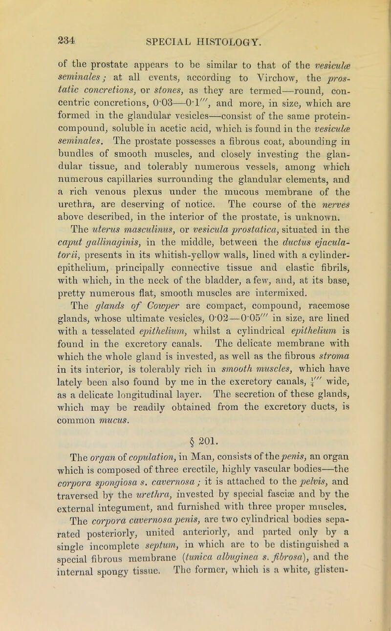 of the prostate appears to be similar to that of the vesiculce seminales j at all events, according to Virchow, the pros- tatic concretions, or stones, as they are termed—round, con- centric concretions, 0'03—0-1', and more, in size, which are formed in the glandular vesicles—consist of the same protein- compound, soluble in acetic acid, which is found in the vesiculce seminales. The prostate possesses a fibrous coat, abounding in bundles of smooth muscles, and closely investing the glan- dular tissue, and tolerably numerous vessels, among which numerous capillaries surrounding the glandular elements, and a rich venous plexus under the mucous membrane of the urethra, are deserving of notice. The course of the nerves above described, in the interior of the prostate, is unknown. The uterus masculinus, or vesicula prostatica, situated in the caput gallinaginis, in the middle, between the ductus ejacula- torii, presents in its whitish-yellow walls, lined with a cylinder- epithelium, principally connective tissue and elastic fibrils, with which, in the neck of the bladder, a few, and, at its base, pretty numerous flat, smooth muscles are intermixed. The glands of Cowper are compact, compound, racemose glands, whose ultimate vesicles, 0 02—0 05' in size, are lined with a tesselated epithelium, whilst a cylindrical epithelium is found in the excretory canals. The delicate membrane with which the whole gland is invested, as well as the fibrous stroma in its interior, is tolerably rich in smooth muscles, which have lately been also found by me in the excretory canals, ±' wide, as a delicate longitudinal layer. The secretion of these glands, which may be readily obtained from the excretory ducts, is common mucus. § 201. The organ of copulation, in Man, consists of the penis, an organ which is composed of three erectile, highly vascular bodies—the corpora spongiosa s. cavernosa ; it is attached to the pelvis, and traversed by the urethra, invested by special fascise and by the external integument, and furnished with three proper muscles. The corpora cavernosa penis, are two cylindrical bodies sepa- rated posteriorly, united anteriorly, and parted only by a single incomplete septum, in which are to be distinguished a special fibrous membrane (tunica albuginea s. fibrosa), and the internal spongy tissue. The former, which is a white, glisten-