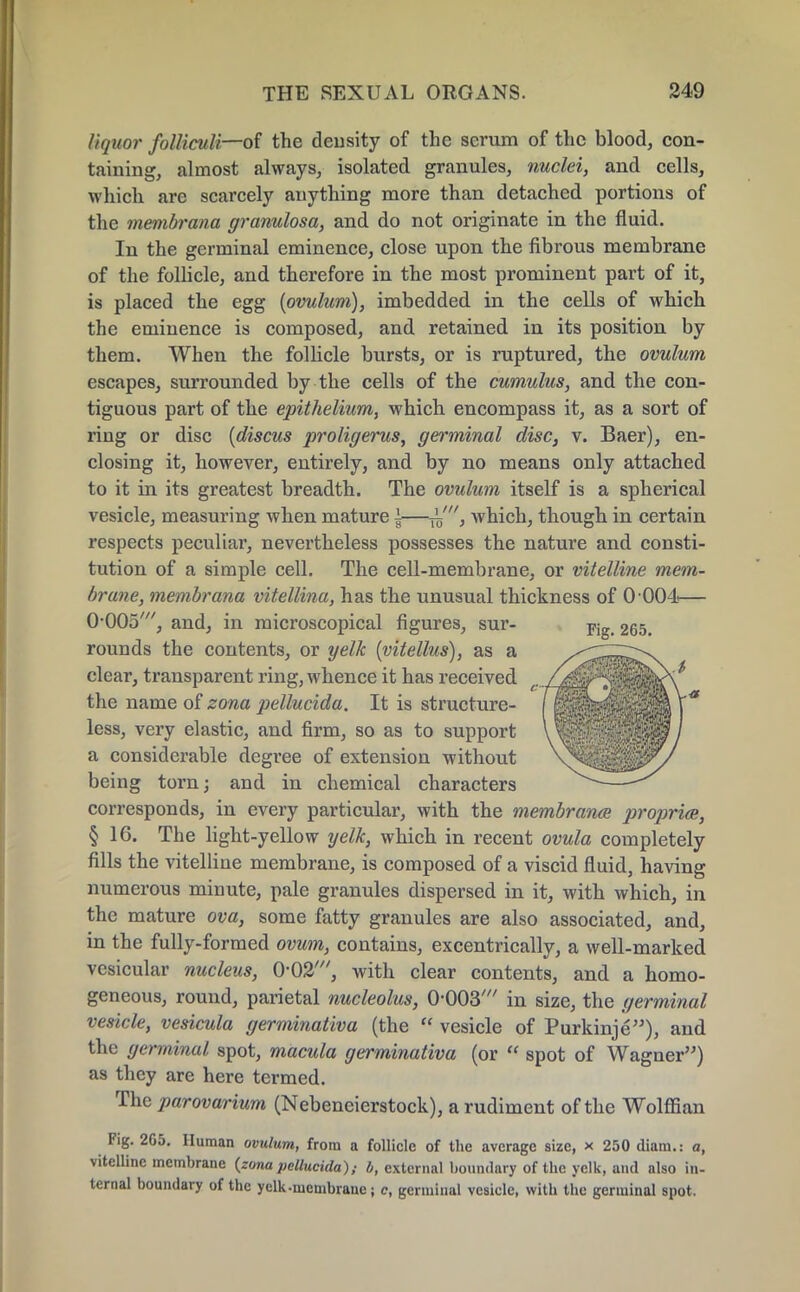 liquor foUiculi—of the density of the serum of the blood, con- taining, almost always, isolated granules, nuclei, and cells, which are scarcely anything more than detached portions of the membrana granulosa, and do not originate in the fluid. In the germinal eminence, close upon the fibrous membrane of the follicle, and therefore in the most prominent part of it, is placed the egg (ovulum), imbedded in the cells of which the eminence is composed, and retained in its position by them. When the follicle bursts, or is ruptured, the ovulum escapes, surrounded by the cells of the cumulus, and the con- tiguous part of the epithelium, which encompass it, as a sort of ring or disc (discus proligerus, germinal disc, v. Baer), en- closing it, however, entirely, and by no means only attached to it in its greatest breadth. The ovulum itself is a spherical vesicle, measuring when mature i—-J/, which, though in certain respects peculiar, nevertheless possesses the nature and consti- tution of a simple cell. The cell-membrane, or vitelline mem- brane, membrana vitellina, has the unusual thickness of 0 004— 0-005', and, in microscopical figures, sur- Fig 265. rounds the contents, or yelk (vitellus), as a clear, transparent ring, whence it has received the name of zona pellucida. It is structure- less, very elastic, and firm, so as to support a considerable degree of extension without being torn; and in chemical characters corresponds, in every particular, with the membrana propria, § 16. The light-yellow yelk, which in recent ovula completely fills the vitelline membrane, is composed of a viscid fluid, having numerous minute, pale granules dispersed in it, with which, in the mature ova, some fatty granules are also associated, and, in the fully-formed ovum, contains, excentrically, a well-marked vesicular nucleus, 0-02', with clear contents, and a homo- geneous, round, parietal nucleolus, 0-003' in size, the germinal vesicle, vesicula germinativa (the  vesicle of Purkinje), and the germinal spot, macula germinativa (or  spot of Wagner) as they are here termed. The parovarium (Nebencierstock), a rudiment of the Wolffian Fig. 2G5. Human ovulum, from a follicle of the average size, x 250 diani.: a, vitelline membrane (zona pellucida); b, external boundary of the yelk, and also in- ternal boundary of the yelk .membrane; e, germinal vesicle, with the germinal spot.