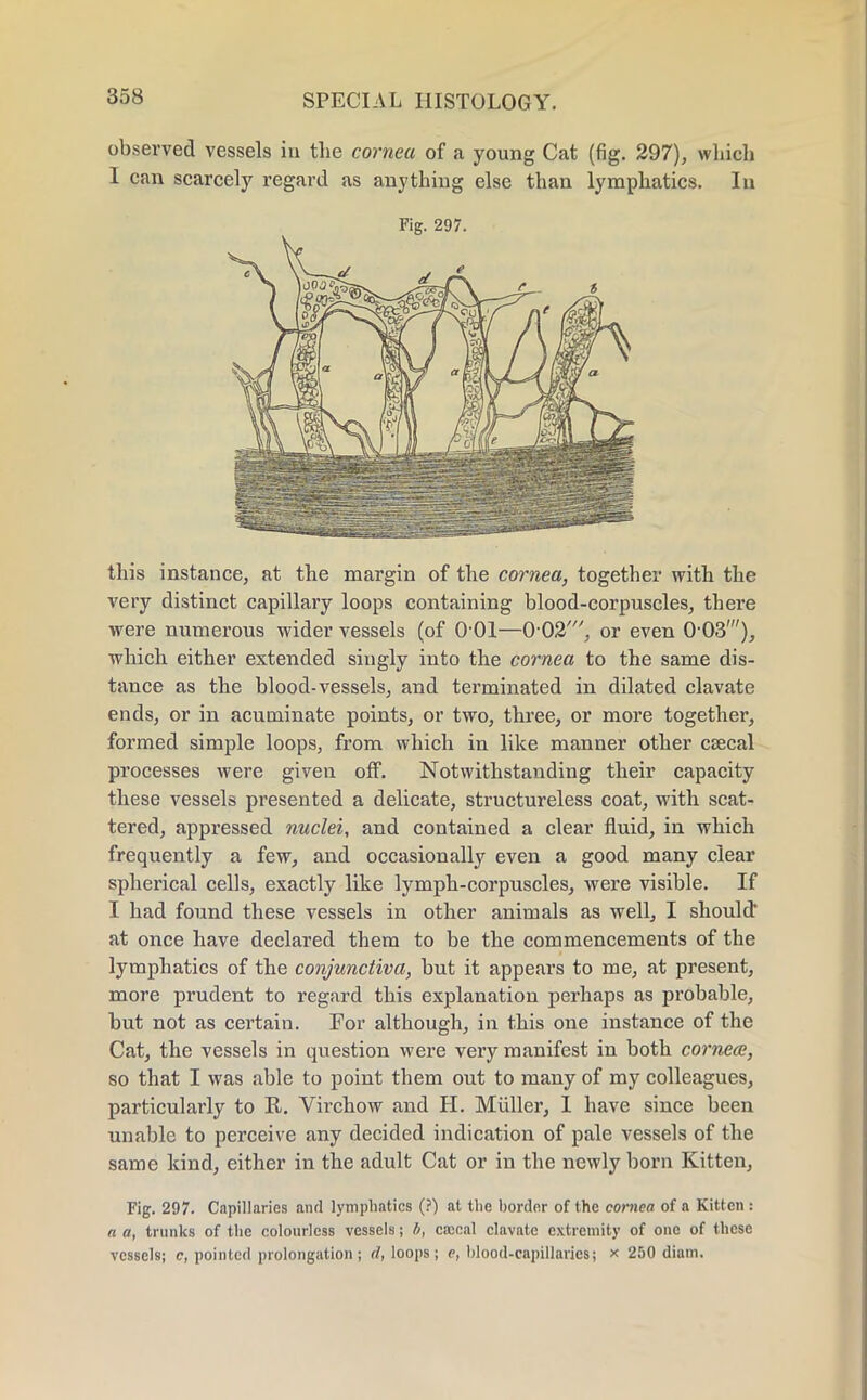 observed vessels in the cornea of a young Cat (fig. 297), which 1 can scarcely regard as anything else than lymphatics. In Fig. 297. this instance, at the margin of the cornea, together with the very distinct capillary loops containing blood-corpuscles, there were numerous wider vessels (of O01—002', or even 0 03'), which either extended singly into the cornea to the same dis- tance as the blood-vessels, and terminated in dilated clavate ends, or in acuminate points, or two, three, or more together, formed simple loops, from which in like manner other caecal processes were given off. Notwithstanding their capacity these vessels presented a delicate, structureless coat, with scat- tered, appressed nuclei, and contained a clear fluid, in which frequently a few, and occasionally even a good many clear spherical cells, exactly like lymph-corpuscles, were visible. If I had found these vessels in other animals as well, I should' at once have declared them to be the commencements of the lymphatics of the conjunctiva, but it appeal's to me, at present, more prudent to regard this explanation perhaps as probable, but not as certain. For although, in this one instance of the Cat, the vessels in question were very manifest in both cornea, so that I was able to point them out to many of my colleagues, particularly to E. Virchow and H. Miiller, 1 have since been unable to perceive any decided indication of pale vessels of the same kind, either in the adult Cat or in the newly born Kitten, Fig. 297. Capillaries and lymphatics (?) at the bordor of the cornea of a Kitten : a a, trunks of the colourless vessels; !/, caccal clavate extremity of one of these vessels; c, pointed prolongation; d, loops; e, blood-capillaries; x 250 diam.