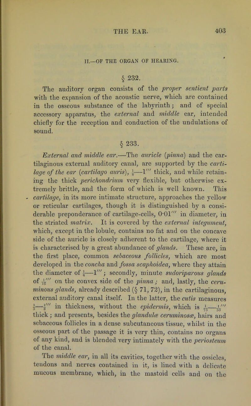 II.—OF THE ORGAN OF HEARING. § 232. The auditory organ consists of the proper sentient parts with the expansion of the acoustic nerve, which are contained in the osseous substance of the labyrinth; and of special accessory apparatus, the external and middle ear, intended chiefly for the reception and conduction of the undulations of sound. § 233. External and middle ear.—The auricle {pinna) and the car- tilaginous external auditory canal, are supported by the carti- lage of the ear [cartilago auris), \—V thick, and while retain- ing the thick perichondrium very flexible, but otherwise ex- tremely brittle, and the form of which is well known. This . cartilage, in its more intimate structure, approaches the yellow or reticular cartilages, though it is distinguished by a consi- derable preponderance of cartilage-cells, O'Ol' in diameter, in the striated matrix. It is covered by the external integument, which, except in the lobule, contains no fat and on the concave side of the auricle is closely adherent to the cartilage, where it is characterised by a great abundance of glands. These are, in the first place, common sebaceous follicles, which are most developed in the concha and fossa scaphoidea, where they attain the diameter of ,—V ; secondly, minute sudoriparous glands of ^f on the convex side of the pinna; and, lastly, the ceru- minous glands, already described (§ 71, 72), in the cartilaginous, external auditory canal itself. In the latter, the cutis measures s—g in thickness, without the epidermis, which is i-—i' thick; and presents, besides the glandulce ceruminosce, hairs and sebaceous follicles in a dense subcutaneous tissue, whilst in the osseous part of the passage it is very thin, contains no organs of any kind, and is blended very intimately with the periosteum of the canal. The middle ear, in all its cavities, together with the ossicles, tendons and nerves contained in it, is lined with a delicate mucous membrane, which, in the mastoid cells and on the