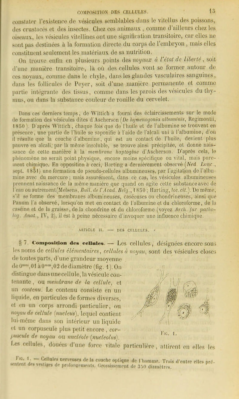 constatov l'existenoe de vesicules semblables (huis le vitollus des poissons, des crustaces et des insectes. Cliez ces animaux , comme d'ailleurs diez les oiseaux, les vesicules vilellines ont uiie signilicatiun traiisiloire, car elles ne sollt pas destinees h la tbvmation dirccte du corps de l'embryon , mais elles constituent seulement les materiaux de sa nutrition. On trouve enfiu en plusieurs points des noyaux ä l'etal de liierte, soit d'une maniöre transitoire, lä oü des cellules voiit se former autour de (•es noyaux, comme dans le cliyle, dans les glandes vasculaires saiiyuines, daiis les foUicules de Peyer, soit d'uue maniere permanente et comme partie integrante des tissus, comme dans les parois des vesicules du Lliy- mus, DU dans la substance couleur de rouille du cervelet. Dans ces derniers tenips, de Wittich a foiirni des eclaircissemenls sur le mode de formation des vesicules dites d Ascherson (De hymenoijonia albuminis, Regimontii, 1850). D apres Wittich, chaque fois que de l'huile et de l'albumine se trouvent en preseiice, une partie de l'huile se soponifie ä l'aide de l'alcali uni ä l'albumine, d'oü il resulle que la couche d'albumine, qui est au contact de l'huile, devient plus pauvre en alcali, par lä möme insoluble, se trouve ainsi pröcipitee, ot donne nais- sauce de cette maniere ä la membrane haptogöne d'Ascherson. D'aprcs cela, le plienomene ne serait point physique, encore moins specifique ou vital, mais pure- inent chimique. En Opposition ä ceci, Harting a dernierement observe [Ned Lanc, sept. 18äl) une formation de pseudo-cellules albumineuses, par l'agilation de l'albu- mine avec du mercure; mais assurement, dans ce cas, les vesicules albumineuses prennent naissance de la m6me maniere que quand on agite cette substance avec de l eau ouautrement(Melsens, Bull, de l'Acad. Belg., 1 850 ; Harting, loc.cit.). Dem6me, s'il se forme des membranes albumineuses, caseeuses ou chondrineiises, ainsi que Panum l a observe, lorsqu'on met en contact de l'albumine et du chioroforme, de hi caseine et de la graisse, de la cliondrine et du chioroforme (voyez Arcli. für paiho- log. Anal., IV, 2], il est ä peine necessaire d'invoquer une influenae chimique. ARTICLE II. DES CF.LLÜLF.S. ' § 7. Composition des celiaies. — Les cellulcs, designecs encorc sous lesnoms de cellules elementaires, cellules ä noyau, sont des vesicules closes de toutes parts, d'une grandeur moyenne deO'-,01äO,02dediametre (fig. l).On distingue dansunecellule,lavesiculecon- lenante , ou membrane de la cellule, et un contenu. Le contenu consiste en un liquide, en particules de formes diverses, et en un corps arrondi particulier, ou noyau de cellule (nucleus), lequel contient Iui-m6me dans son Interieur un liquide et un corpuscule plus petit encore , cor- imcule de noyau ou nudeole (nuclnolns). Les cellules, douees d'une fbrce vitale particuliere, atlirent pn elles les Fio ! — Cellulrs norvnnsps ric in coiuhc opliqno do I hominn. Tn.is (ronlrn pMc^ nn«- senlpnl dps vesliges dp proloiiKcmcnl.s. 'Ims.si.ssf'iiicnt di- 3r.() (Jinintlrcs.