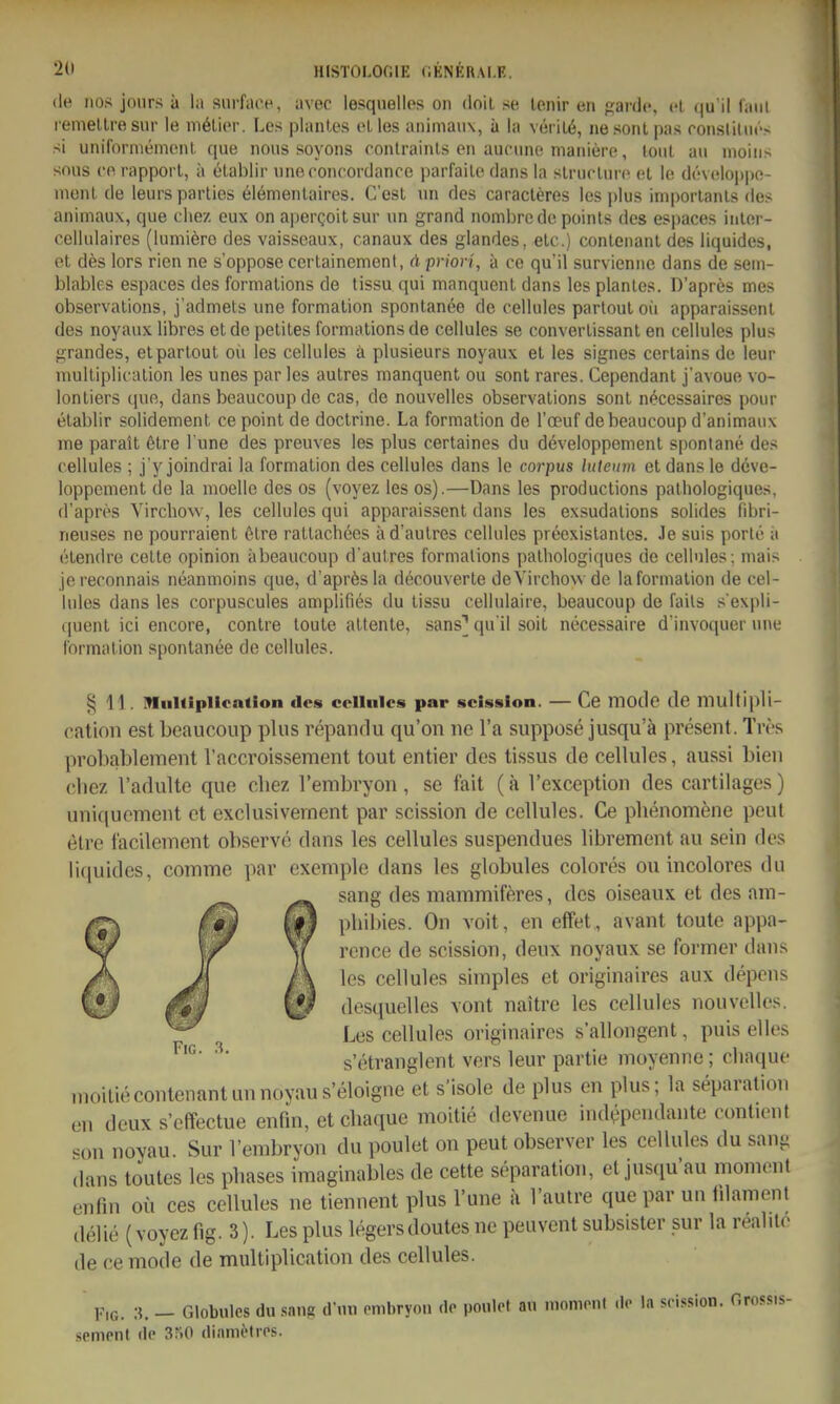 2(1 HISTOLOr.IE (IKNERAI.E. de 1108 jniirs ä la siipfaoe, avec lesquellos on doil se tenir en franlc, cl (|u'il faul remellresur le mölicr. Les plaiiles olles animaii\, ü la v(;iiL6, nesontpas roiistiliir> si uniforniemonl. que noiis soyons rontrainls en auciine maniere, loiil au moiiis srrns CO rapporl, ä elahlir iineconcordance parfaile dans la slriicliirc et le devisloppo- menl de leurs parties elenienlaires. C'esl \in des caracleres les plus iinporlanls des animaux, que diez oux on apergoitsur un grand nombrede poinls des espaces inler- celliilaires (luniiero des vaisseaux, canaux des glandes, elc.) conlenanl des liquides, et des lors ricn ne s'oppose cerlainement, rt priori, ä ce qu il surviennc dans de seui- blables espaces des fornialions de tissu qui nianquenl dans les planles. D'apres mes observalions, j'admets une formalion spontanee de cellules parloul oii apparaissenl des noyaux libres el de petiles formalions de cellules se converlissanl en cellules plus grandes, elparlout od les cellules ä plusieurs noyaux el les signes cerlains de leur mulliplicalion les unes par les aulres manquent ou sont rares. Cependant j'avoue vo- lonliers quo, dans beaucoup de cas, de nouvelles observalions sonl necessaires pour elablir solidement ce point de doctrine. La formalion de l'oeuf de beaucoup d'animaux me parall 6lre l'une des preuves les plus certaines du developpenienl spontane des cellules ; j'y joindrai la formalion des cellules dans le corpus luteum el dans le deve- loppement de la moelle des os (voyez les os).—Dans les produclions palhologiques, d'apres Virchow, les cellules qui apparaissenl dans les exsudalions solides fibri- neuses ne pourraienl 6lre rallachces iid'aulres cellules preexislanlcs. Je suis porle ii elendre celle opinion äbeaucoup d'aulres formalions palhologiques de cellules; mais jereconnais neanmoins que, d'aprösla decouverle deVirchow de la formalion de cel- lules dans les corpuscules amplifies du lissu cellulaire, beaucoup de fails s'expli- quent ici encore, conlre loute altenle, sans] qu'il soit necessaire d'invoquer une formalion spontanee de cellules. § 11. MuUiplication des cellules par scission. — Ce lllOtle de multipli- cation est beaucoup plus repandu qu'on ne l'a suppose jusqu'ä present. TW-s probablement raccroissement tout entier des tissus de cellules, aussi bien cliez l'adulte que cliez rembryon , se fait (ä l'exception des cartilages) uniquement et exclusivernent par scission de cellules. Ce plienomene pcul elre i'acilement observö dans les cellules suspendues librement au sein des liquides, comme par exemple dans les globules colores ou incolores du sang des mammiferes, des oiseaux et des am- phibies. On voit, en effet , avant toute appa- rence de scission, deux noyaux se former dans les cellules simples et originaircs aux depon desquelles vont naitre les cellules nouvelles. Les cellules originaires s'allongent, puis elles '■ s'etvanglent vers leur partie moyennc; cliaque moiliecontenantunnoyaus'eloigne et s'isole de plus en plus; la Separation en deux s'effectue enfln, et chaque moitie devenue ind^H^eudante contient con noyau. Sur l'enibryon du poulet on peut observer les cellules du sang dans toutes les pliases imaginables de cette Separation, et jusqu'au moniont enfin oü ces cellules ne tiennent plus l'une ä l'autre que par un iilament delie (voyez fig. 3). Les plus legersdoutes ne peuvent subsister sur la realilc de ce mode de multiplication des cellules. Fig. 3. - Globules du .sang d'nn embryon de poulof au momonl dp la scission. nrossis- semenl de 3.^0 dianuMros. s